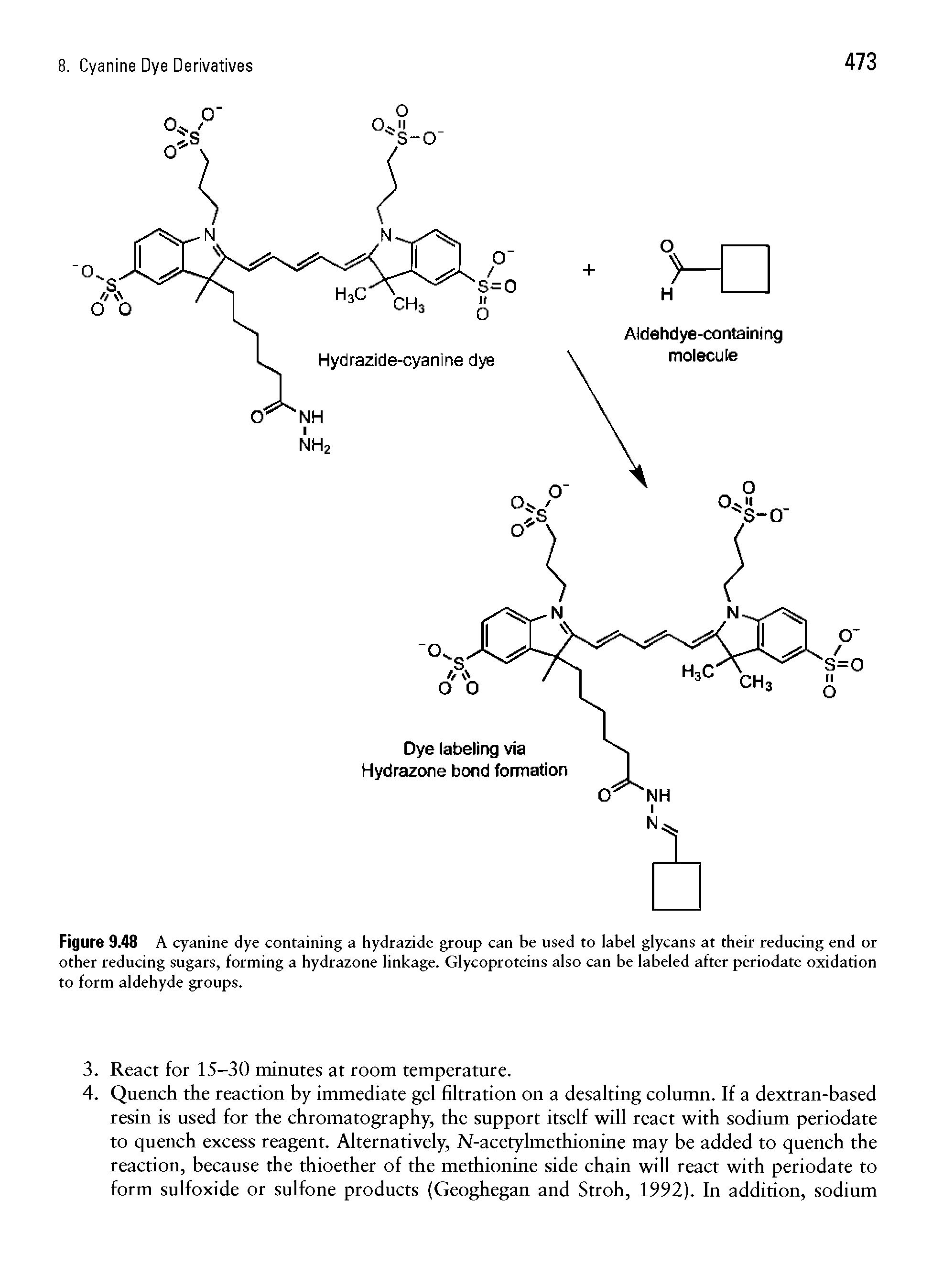 Figure 9.48 A cyanine dye containing a hydrazide group can be used to label glycans at their reducing end or other reducing sugars, forming a hydrazone linkage. Glycoproteins also can be labeled after periodate oxidation to form aldehyde groups.