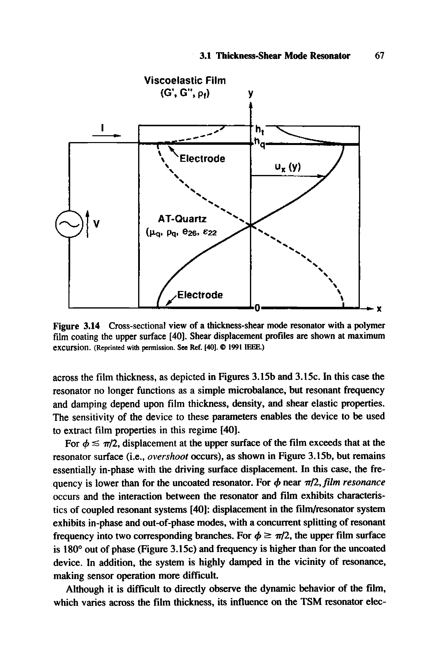 Figure 3.14 Cross-sectional view of a thickness-shear mode resonator with a polymer film coating the upper surface [40]. Shear displacement profiles are shown at maximum excursion. (Reprinted with permission. See Ref. 140]. > 1991 IEEE.)...