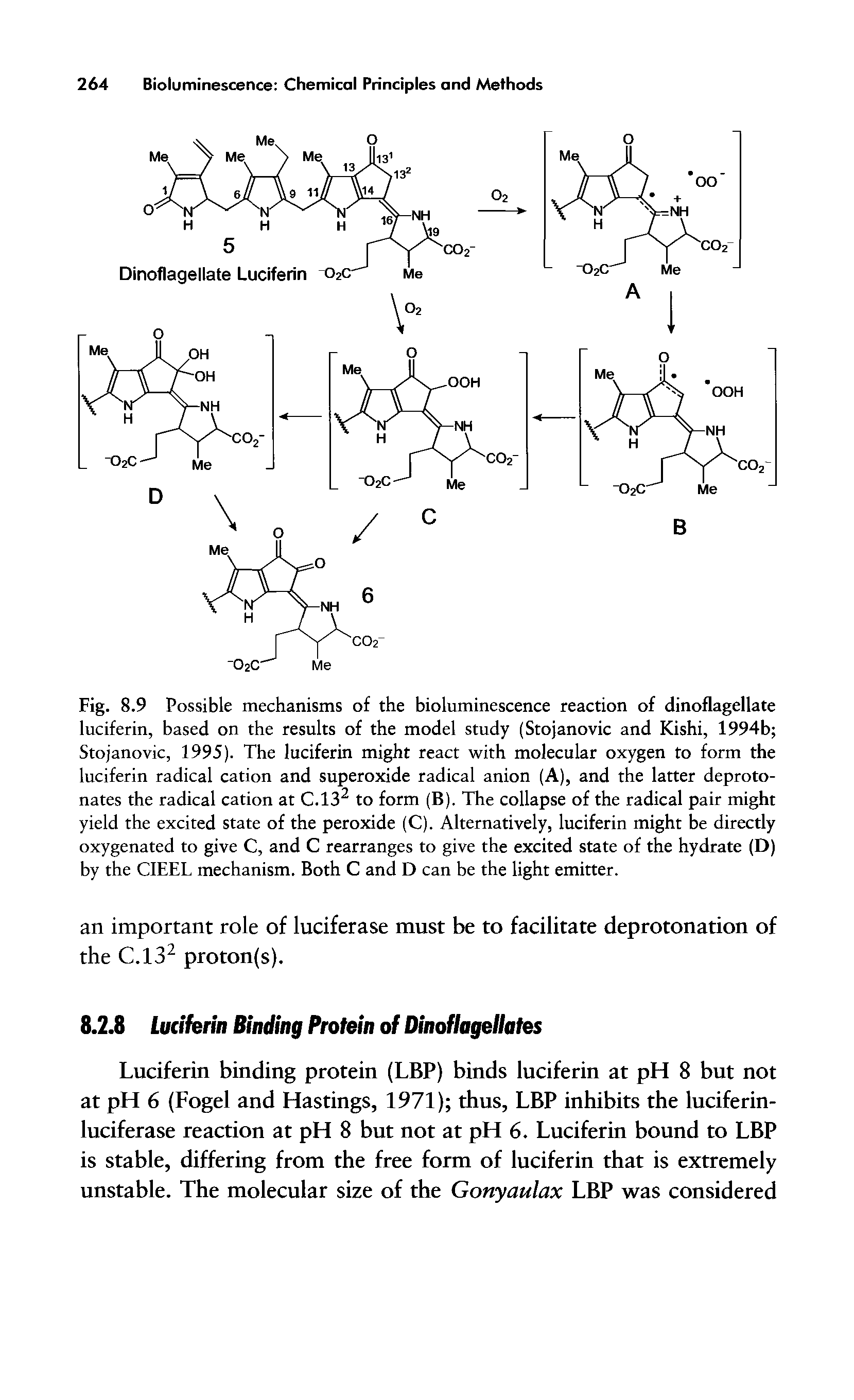 Fig. 8.9 Possible mechanisms of the bioluminescence reaction of dinoflagellate luciferin, based on the results of the model study (Stojanovic and Kishi, 1994b Stojanovic, 1995). The luciferin might react with molecular oxygen to form the luciferin radical cation and superoxide radical anion (A), and the latter deproto-nates the radical cation at C.132 to form (B). The collapse of the radical pair might yield the excited state of the peroxide (C). Alternatively, luciferin might be directly oxygenated to give C, and C rearranges to give the excited state of the hydrate (D) by the CIEEL mechanism. Both C and D can be the light emitter.