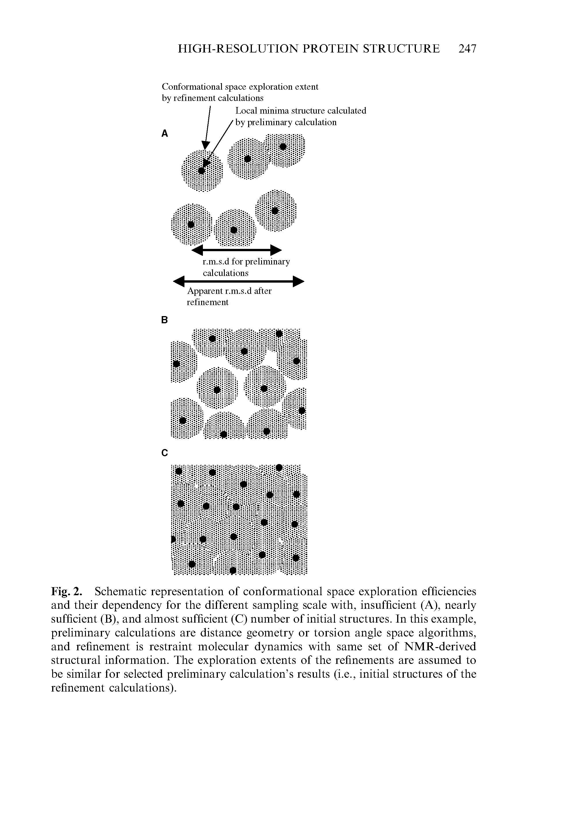 Fig. 2. Schematic representation of conformational space exploration efficiencies and their dependency for the different sampling scale with, insufficient (A), nearly sufficient (B), and almost sufficient (C) number of initial structures. In this example, preliminary calculations are distance geometry or torsion angle space algorithms, and refinement is restraint molecular dynamics with same set of NMR-derived structural information. The exploration extents of the refinements are assumed to be similar for selected preliminary calculation s results (i.e., initial structures of the refinement calculations).