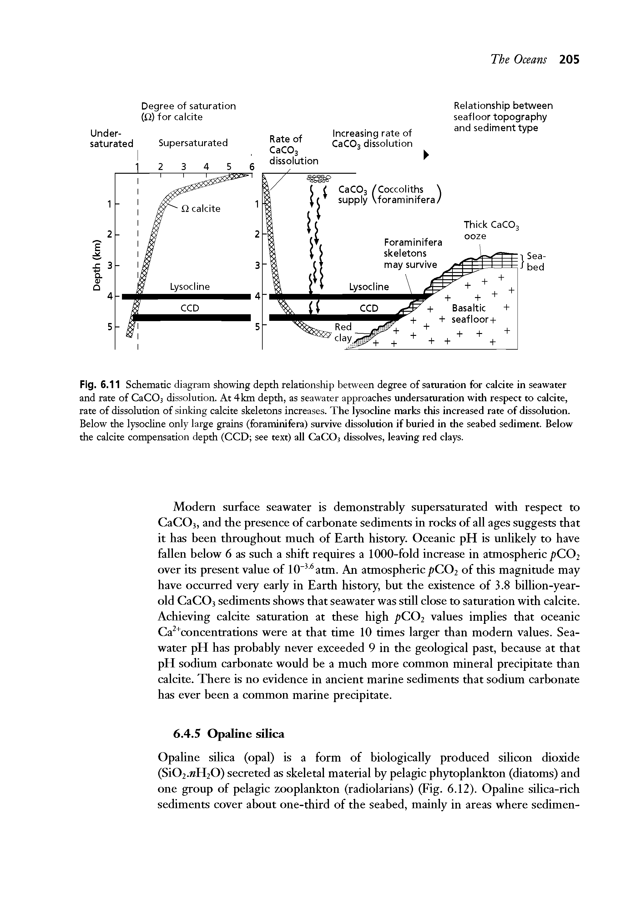 Fig. 6.11 Schematic diagram showing depth relationship between degree of saturation for calcite in seawater and rate of CaC03 dissolution. At 4km depth, as seawater approaches undersaturation with respect to calcite, rate of dissolution of sinking calcite skeletons increases. The lysocline marks this increased rate of dissolution. Below the lysocline only large grains (foraminifera) survive dissolution if buried in the seabed sediment. Below the calcite compensation depth (CCD see text) all CaC03 dissolves, leaving red clays.