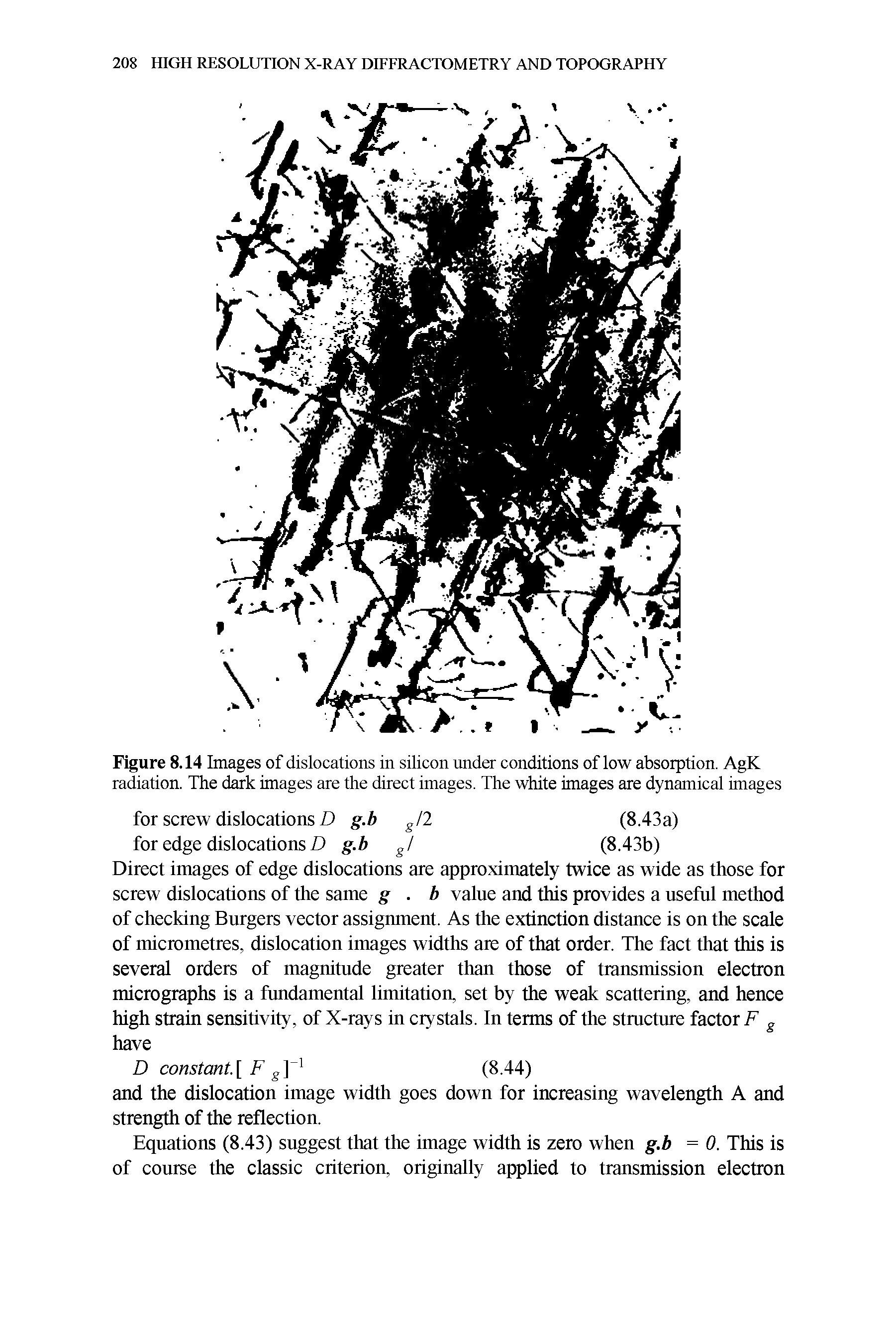 Figure 8.14 Images of dislocations in silicon under conditions of low absorption. AgK radiation. The dark images are the direct images. The white images are dynamical images...