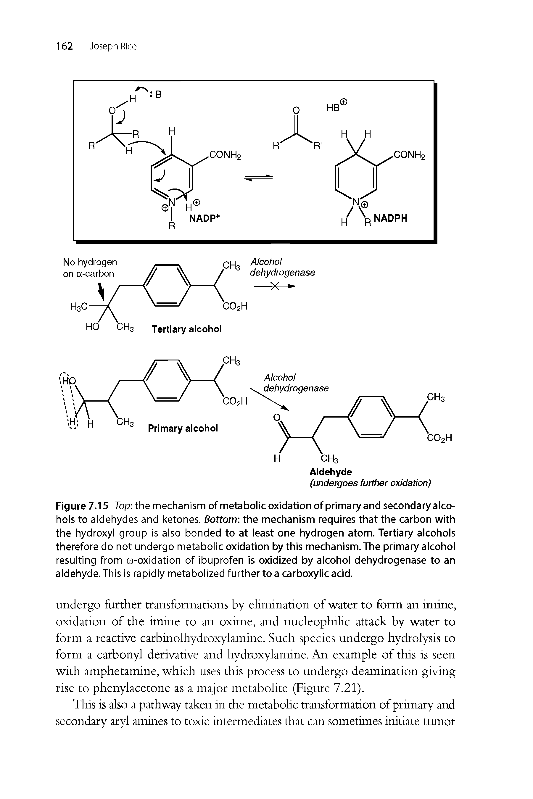 Figure 7.15 Top the mechanism of metabolic oxidation of primary and secondary alcohols to aldehydes and ketones. Bottom the mechanism requires that the carbon with the hydroxyl group is also bonded to at least one hydrogen atom. Tertiary alcohols therefore do not undergo metabolic oxidation by this mechanism. The primary alcohol resulting from co-oxidation of ibuprofen is oxidized by alcohol dehydrogenase to an aldehyde. This is rapidly metabolized further to a carboxylic acid.