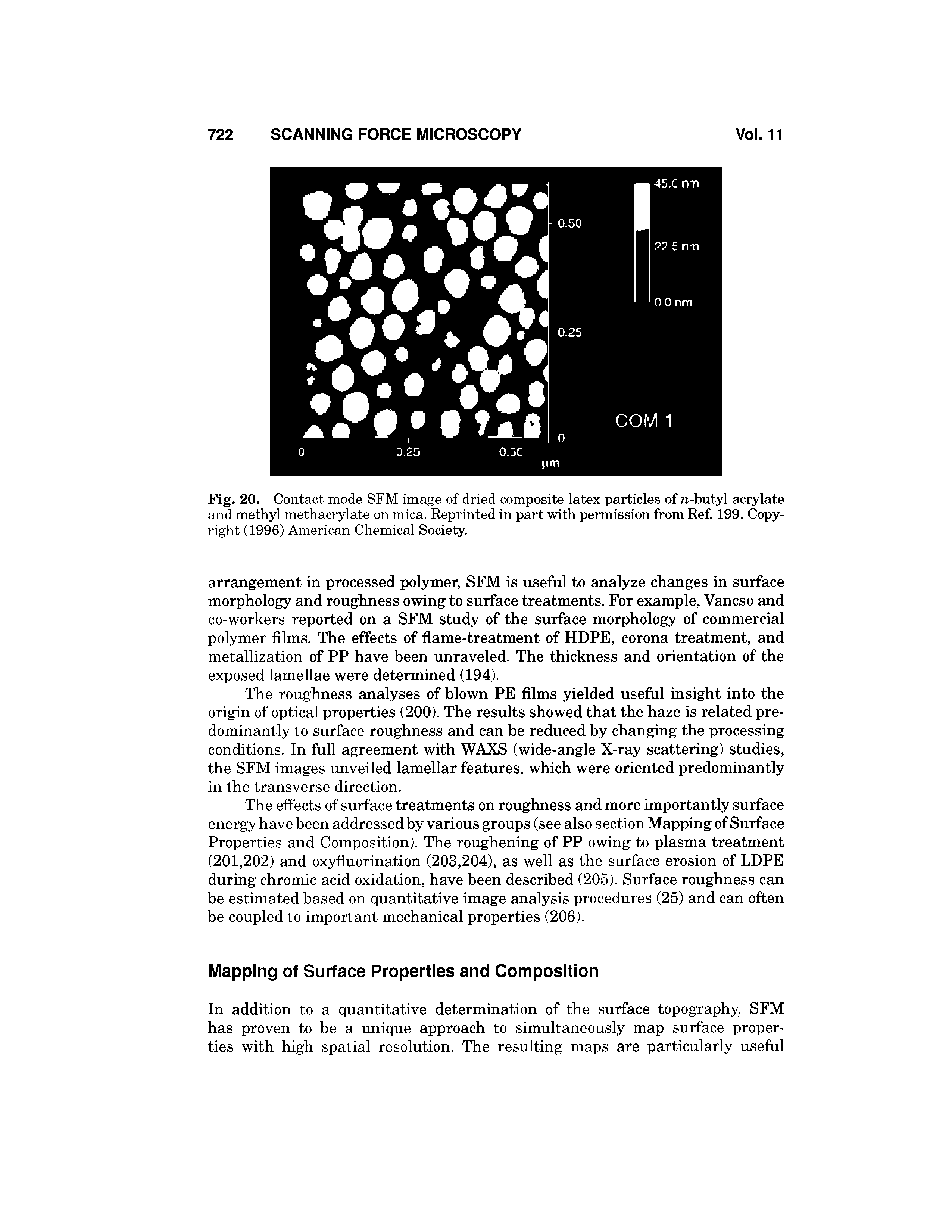 Fig. 20. Contact mode SFM image of dried composite latex particles of w-butyl acrylate and methyl methacrylate on mica. Reprinted in part with permission from Ref. 199. Copyright (1996) American Chemical Society.