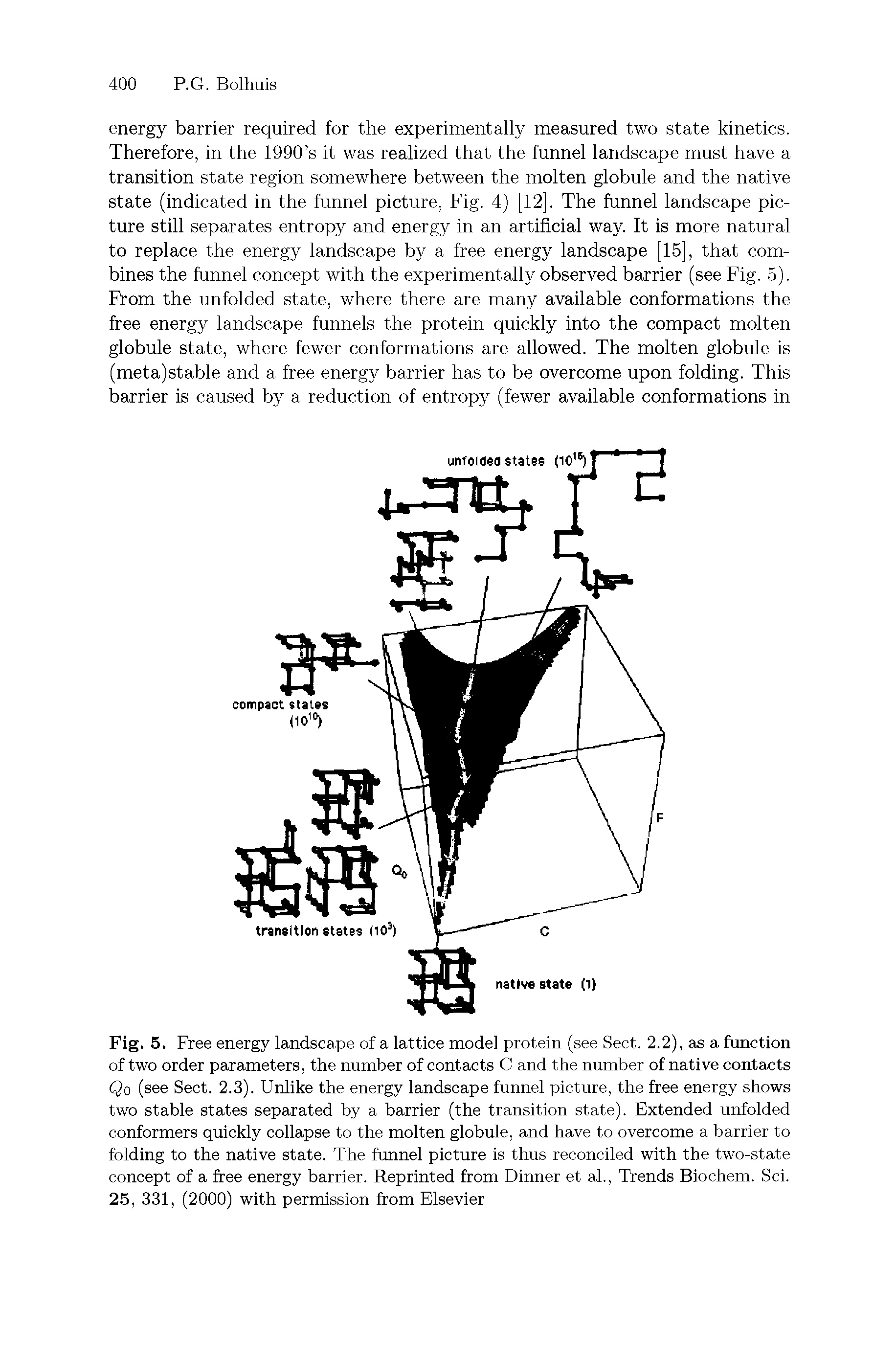 Fig. 5. Free energy landscape of a lattice model protein (see Sect. 2.2), as a function of two order parameters, the number of contacts C and the number of native contacts Qo (see Sect. 2.3). Unlike the energy landscape funnel picture, the free energy shows two stable states separated by a barrier (the transition state). Extended unfolded conformers quickly collapse to the molten globule, and have to overcome a barrier to folding to the native state. The funnel picture is thus reconciled with the two-state concept of a free energy barrier. Reprinted from Dinner et ah. Trends Biochem. Sci. 25, 331, (2000) with permission from Elsevier...