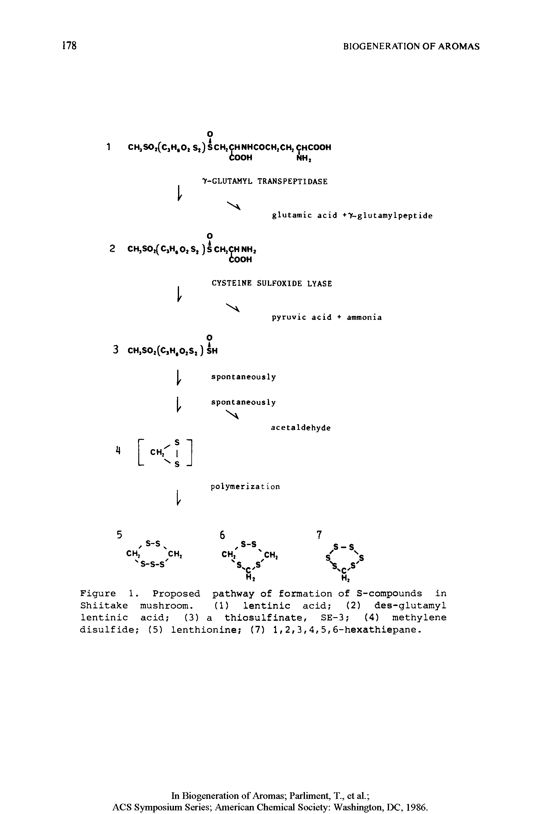 Figure 1. Proposed pathway of formation of S-compounds in Shiitake mushroom. (1) lentinic acid (2) des-glutamyl lentinic acid (3) a thiosulfinate, SE-3 (4) methylene disulfide (5) lenthionine (7) 1,2,3,4,5,6-hexathiepane.