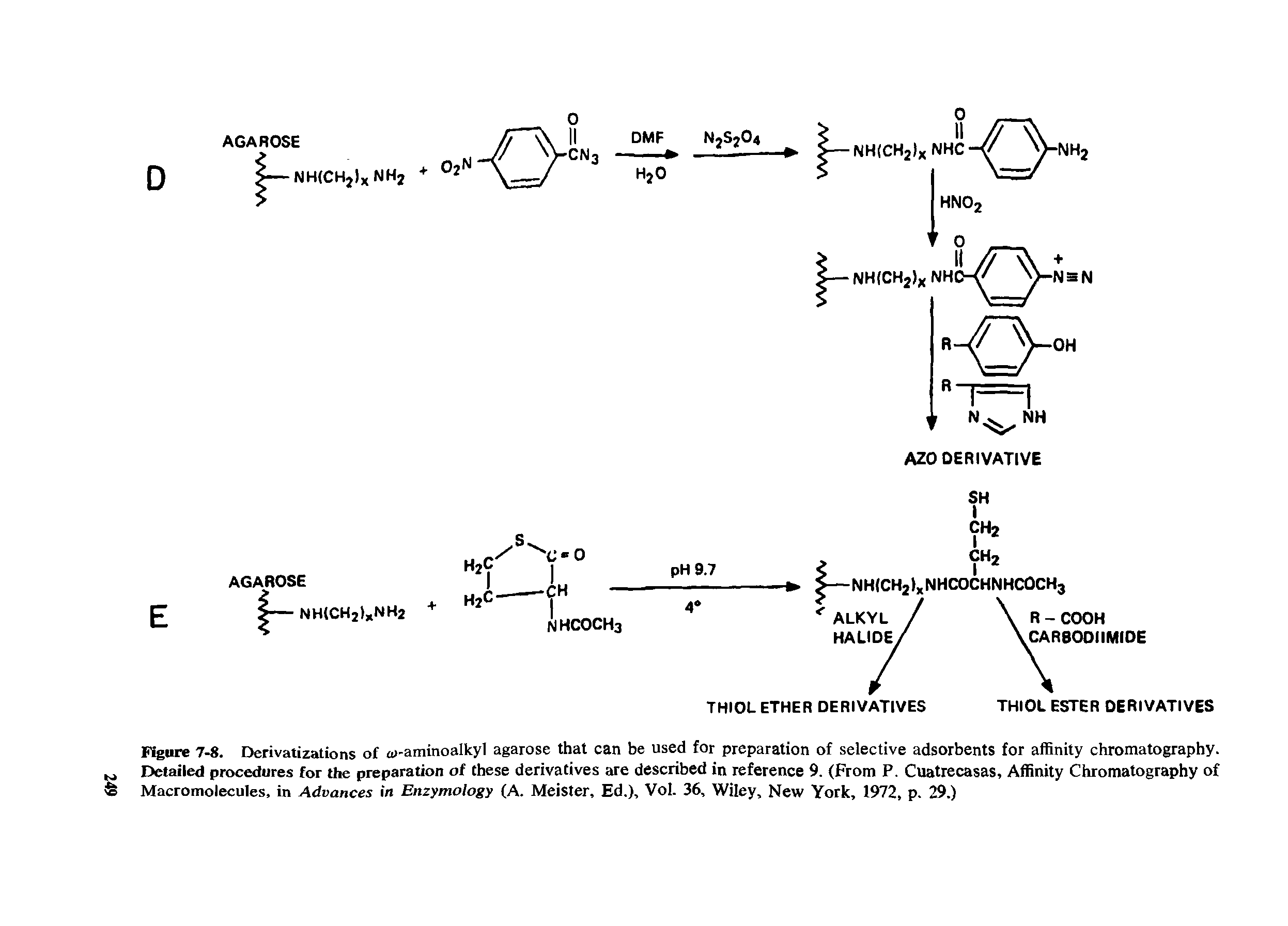 Figure 7-8. Derivatizations of aj-aminoalkyl agarose that can be used for preparation of selective adsorbents for affinity chromatography. Detailed procedures for the preparation of these derivatives are described in reference 9. (From P. Cuatrecasas, Affinity Chromatography of Macromolecules, in Advances in Enzymology (A. Meister, Ed.), Vol. 36, Wiley, New York, 1972, p. 29.)...