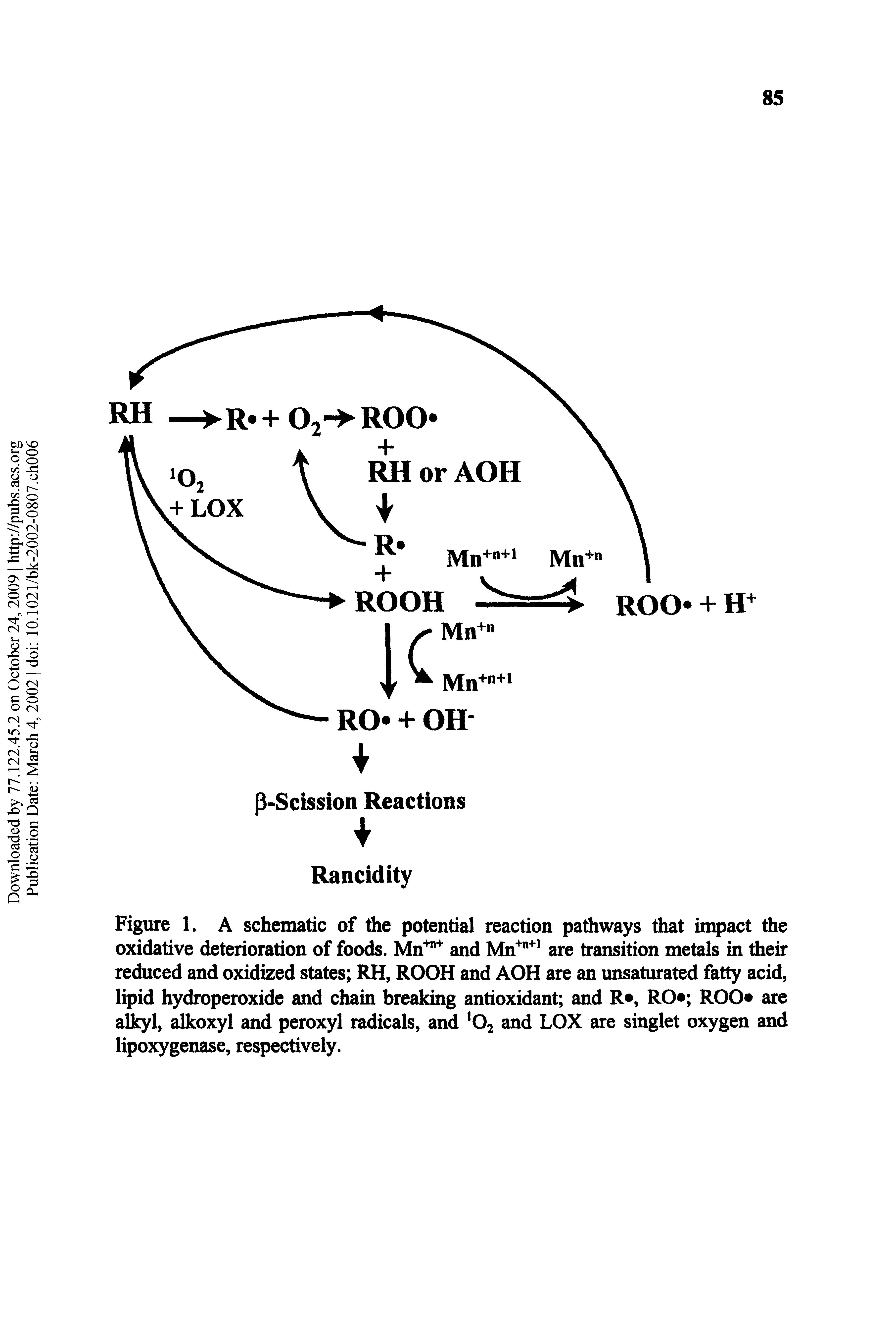 Figure 1. A schematic of die potential reaction pathways that intact the oxidative deterioration of foods. Mn and Mn " are transition metals in their reduced and oxidized states RH, ROOH and AOH are an unsaturated fatty acid, lipid hydroperoxide and chain breaking antioxidant and R , RO ROO are alkyl, alkoxyl and peroxyl radicals, and Oj and LOX are singlet oxygen and lipoxygenase, respectively.