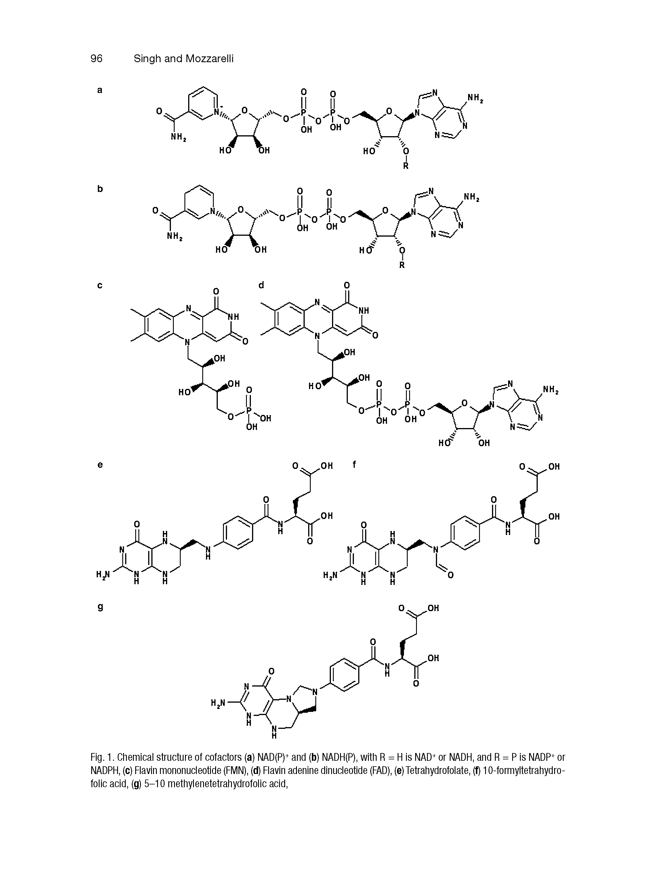Fig. 1. Chemical structure of cofactors (a) NAD(P)+ and (b) NADH(P), with R = H is NAD+ or NADH, and R = P is NADP+ or NADPH, (c) Flavin mononucleotide (FMN), (d) Flavin adenine dinucleotide (FAD), (e)Tetrahydrofolate, (f) 10-formyltetrahydro-folic acid, (g) 5-10 methylenetetrahydrofolic acid,...