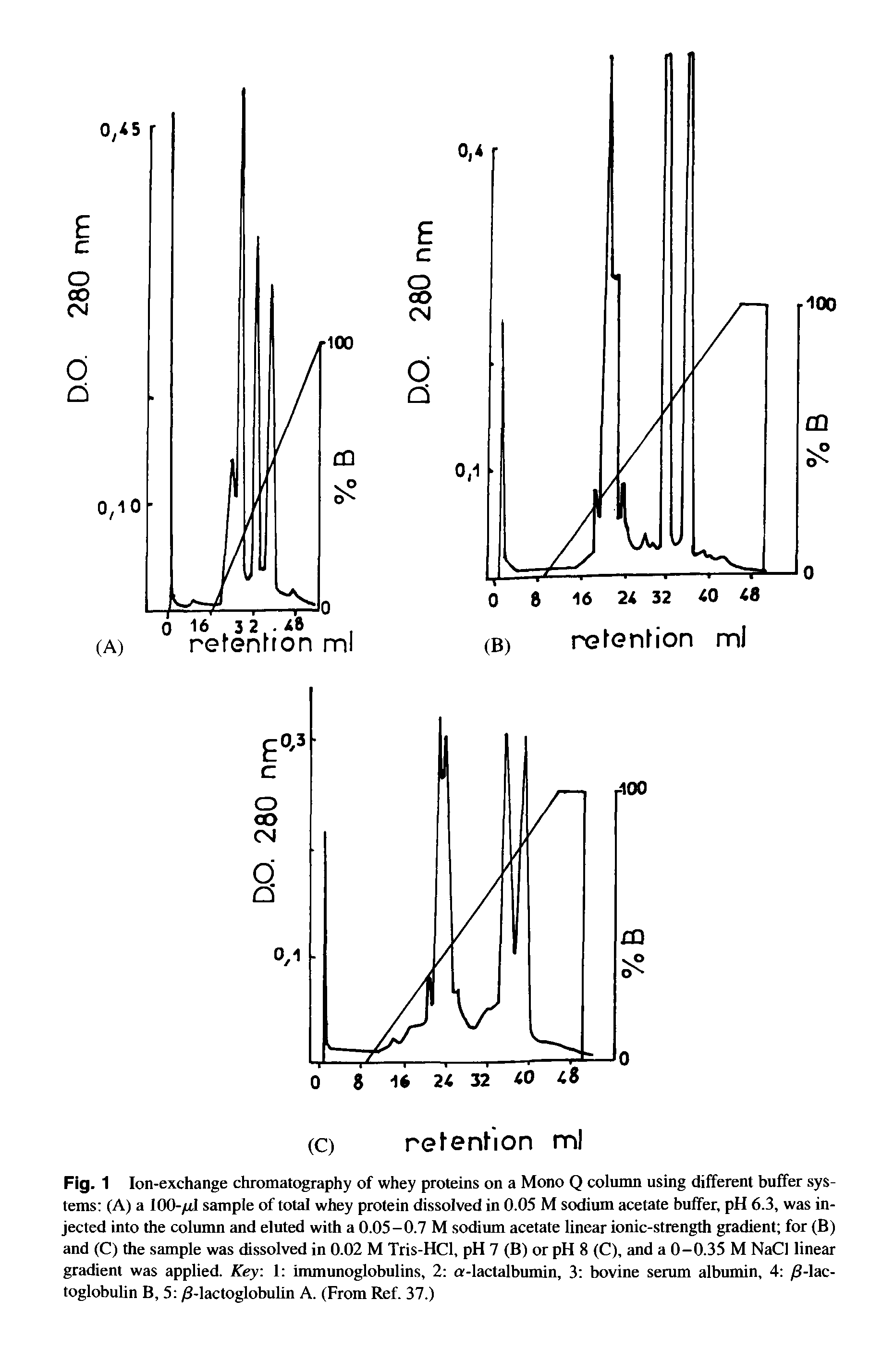 Fig. 1 Ion-exchange chromatography of whey proteins on a Mono Q column using different buffer systems (A) a 100-/rl sample of total whey protein dissolved in 0.05 M sodium acetate buffer, pH 6.3, was injected into the column and eluted with a 0.05-0.7 M sodium acetate linear ionic-strength gradient for (B) and (C) the sample was dissolved in 0.02 M Tris-HCl, pH 7 (B) or pH 8 (C), and a 0-0.35 M NaCl linear gradient was applied. Key 1 immunoglobulins, 2 a-lactalbumin, 3 bovine serum albumin, 4 /3-lac-toglobulin B, 5 /3-lactoglobulin A. (From Ref. 37.)...
