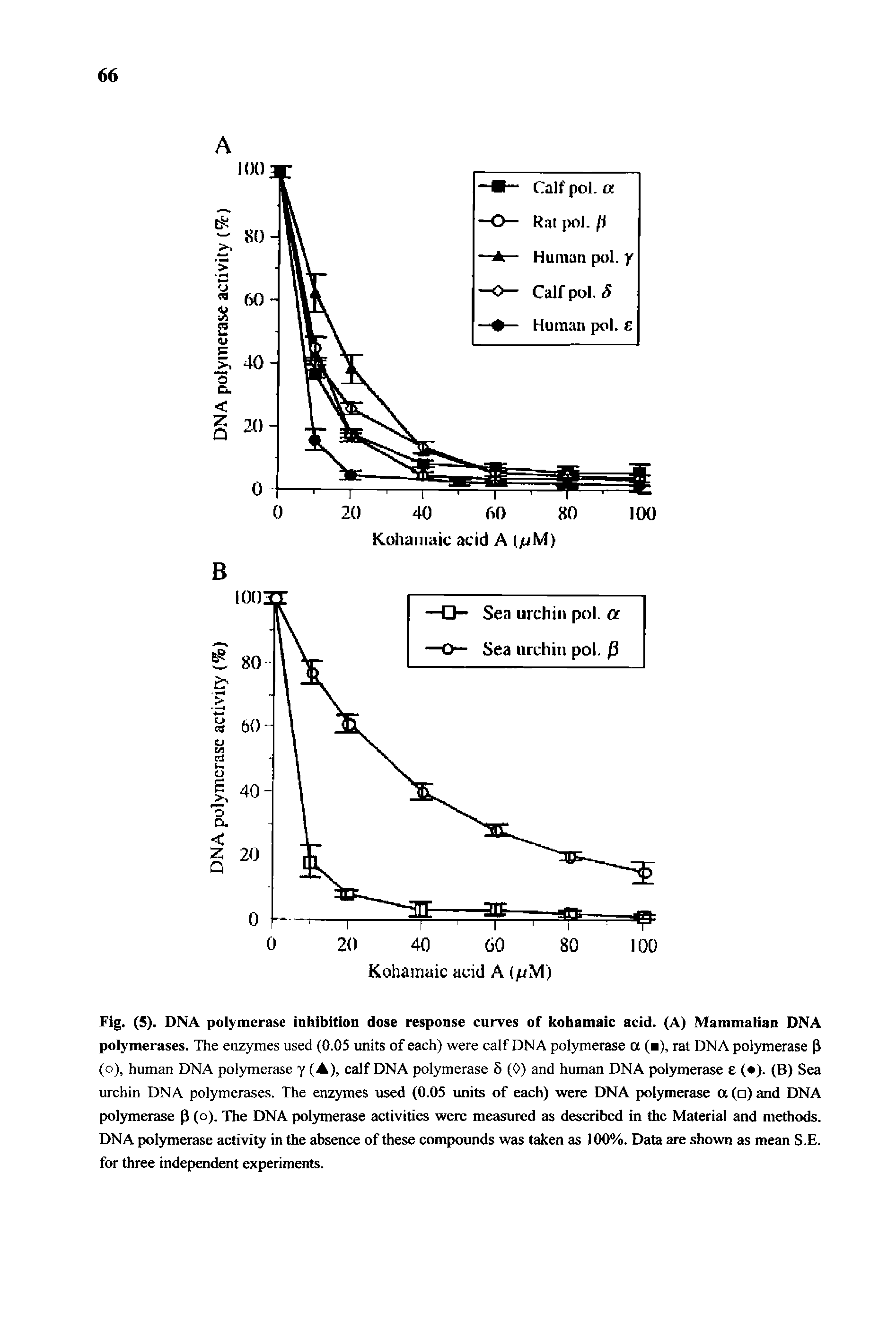 Fig. (5). DNA polymerase inhibition dose response curves of kohamaic acid. (A) Mammalian DNA polymerases. The enzymes used (0.05 units of each) were calf DNA polymerase a ( ), rat DNA polymerase P (o), human DNA polymerase Y (A), calf DNA polymerase 8 (0) and human DNA polymerase 8 ( ). (B) Sea urchin DNA polymerases. The enzymes used (0.05 units of each) were DNA polymerase a ( ) and DNA polymerase p (o). The DNA polymerase activities were measured as described in the Material and methods. DNA polymerase activity in the absence of these compounds was taken as 100%. Data are shown as mean S.E. for three independent experiments.