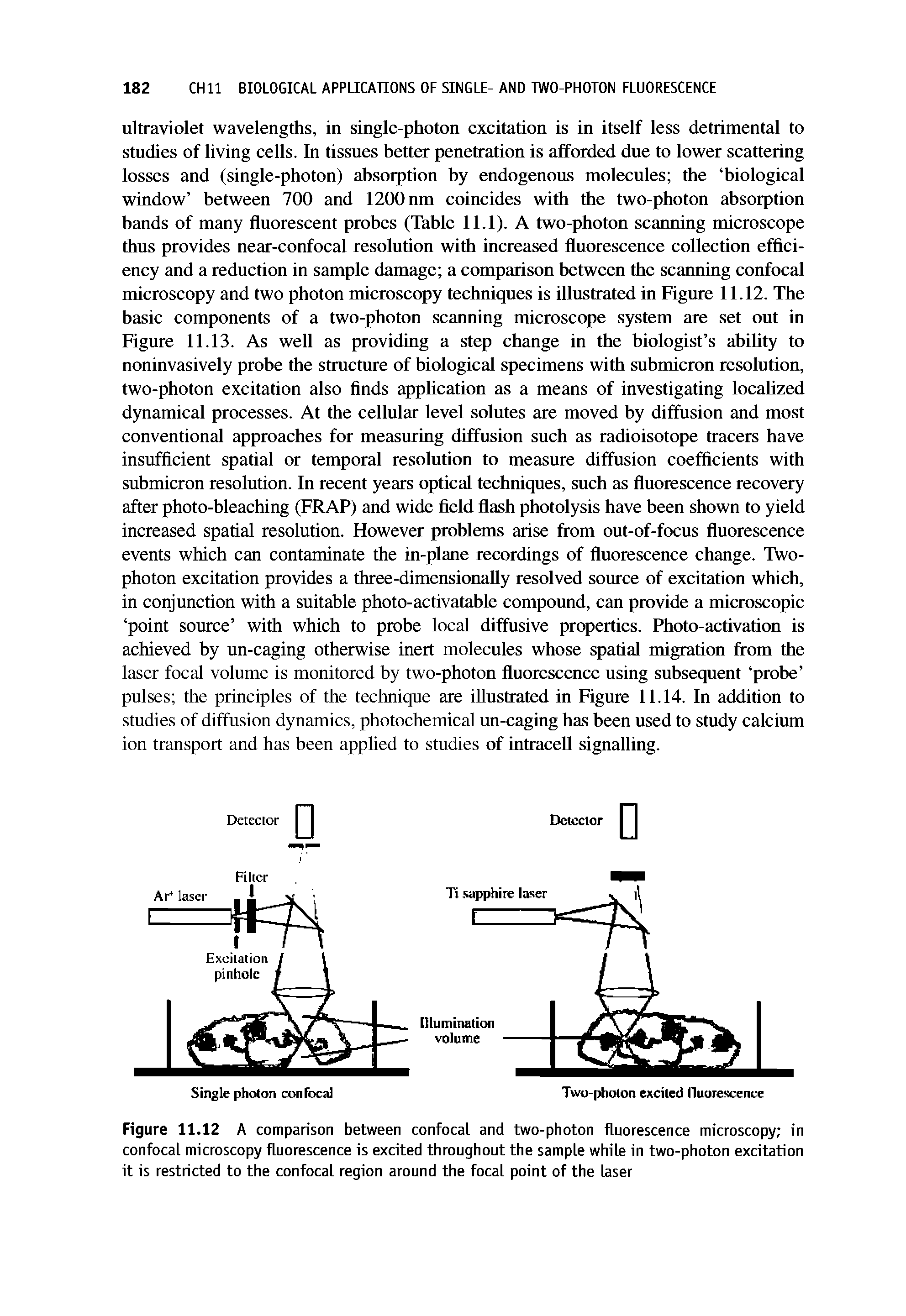 Figure 11.12 A comparison between confocal and two-photon fluorescence microscopy in confocal microscopy fluorescence is excited throughout the sample while in two-photon excitation it is restricted to the confocal region around the focal point of the laser...