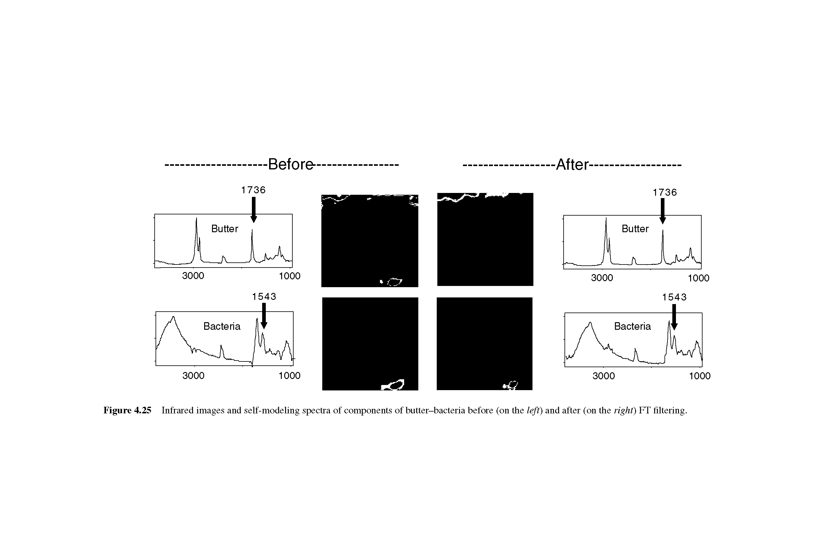 Figure 4.25 Infrared images and self-modeling spectra of components of butter-bacteria before (on the left) and after (on the right) FT filtering.