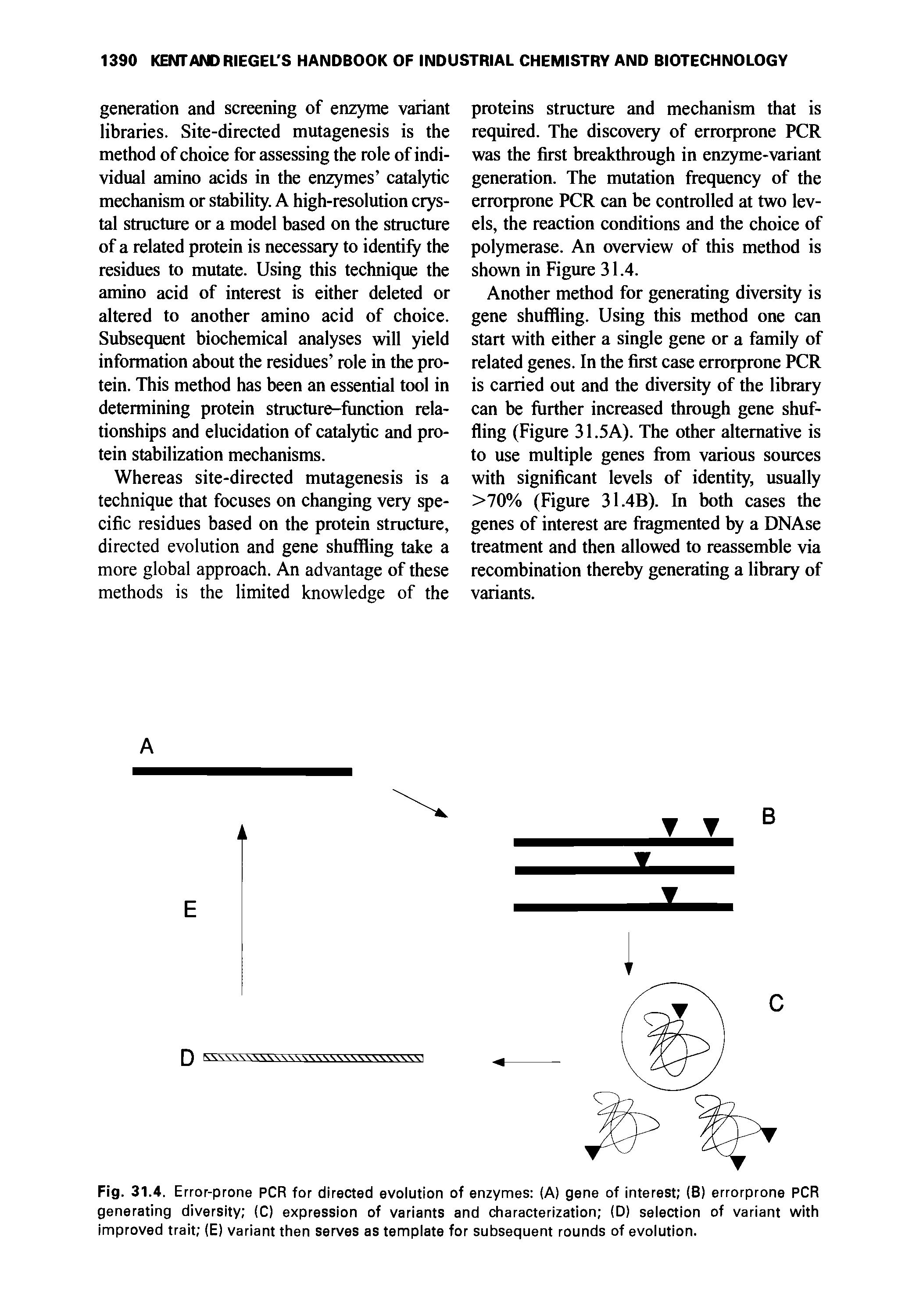 Fig. 31.4. Error-prone PCR for directed evolution of enzymes (A) gene of interest (B) errorprone PCR generating diversity (C) expression of variants and characterization (D) selection of variant with improved trait (E) variant then serves as template for subsequent rounds of evolution.