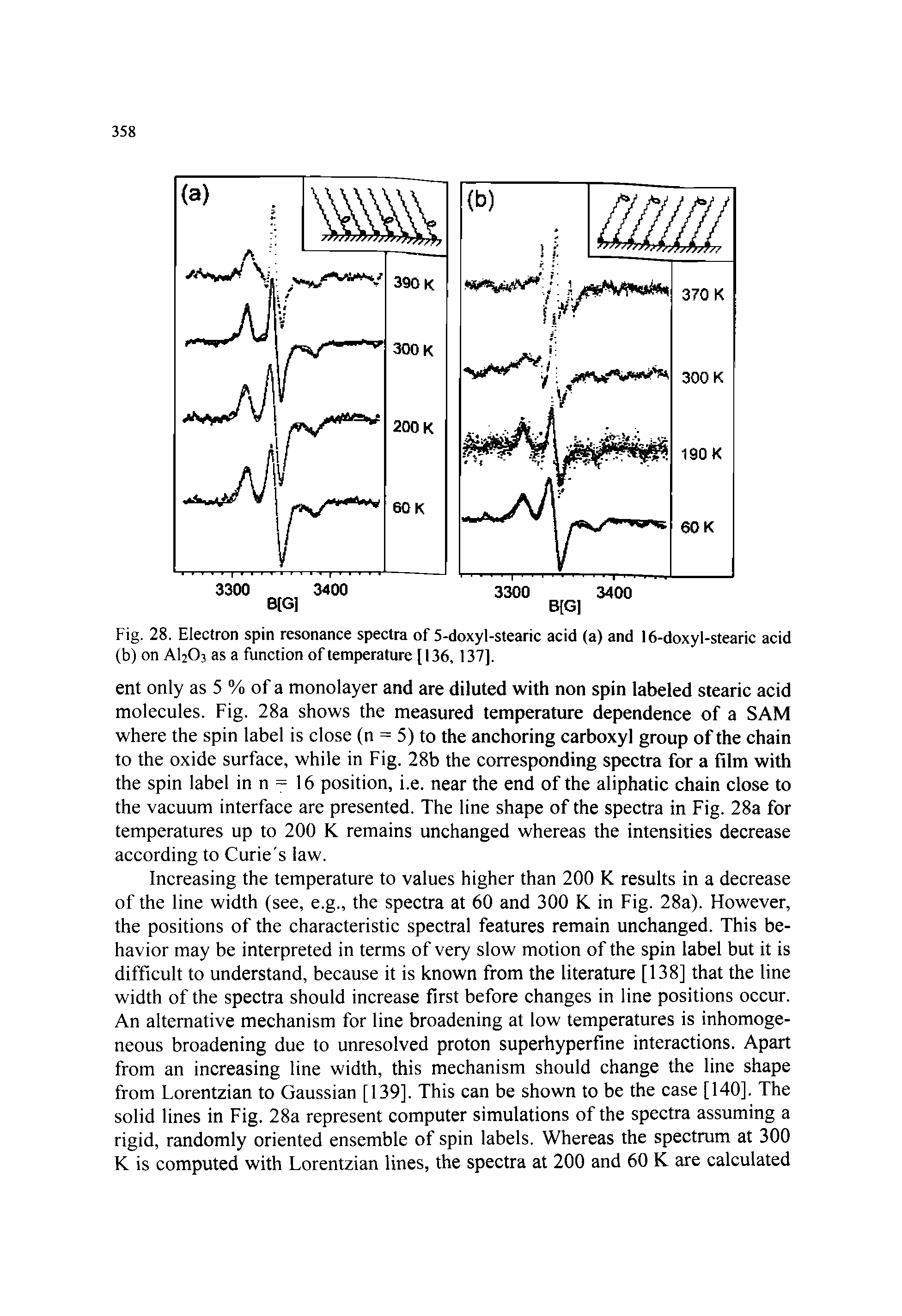 Fig. 28. Electron spin resonance spectra of 5-doxyl-stearic acid (a) and 16-doxyl-stearic acid (b) on AI2O3 as a function of temperature [136, 137].