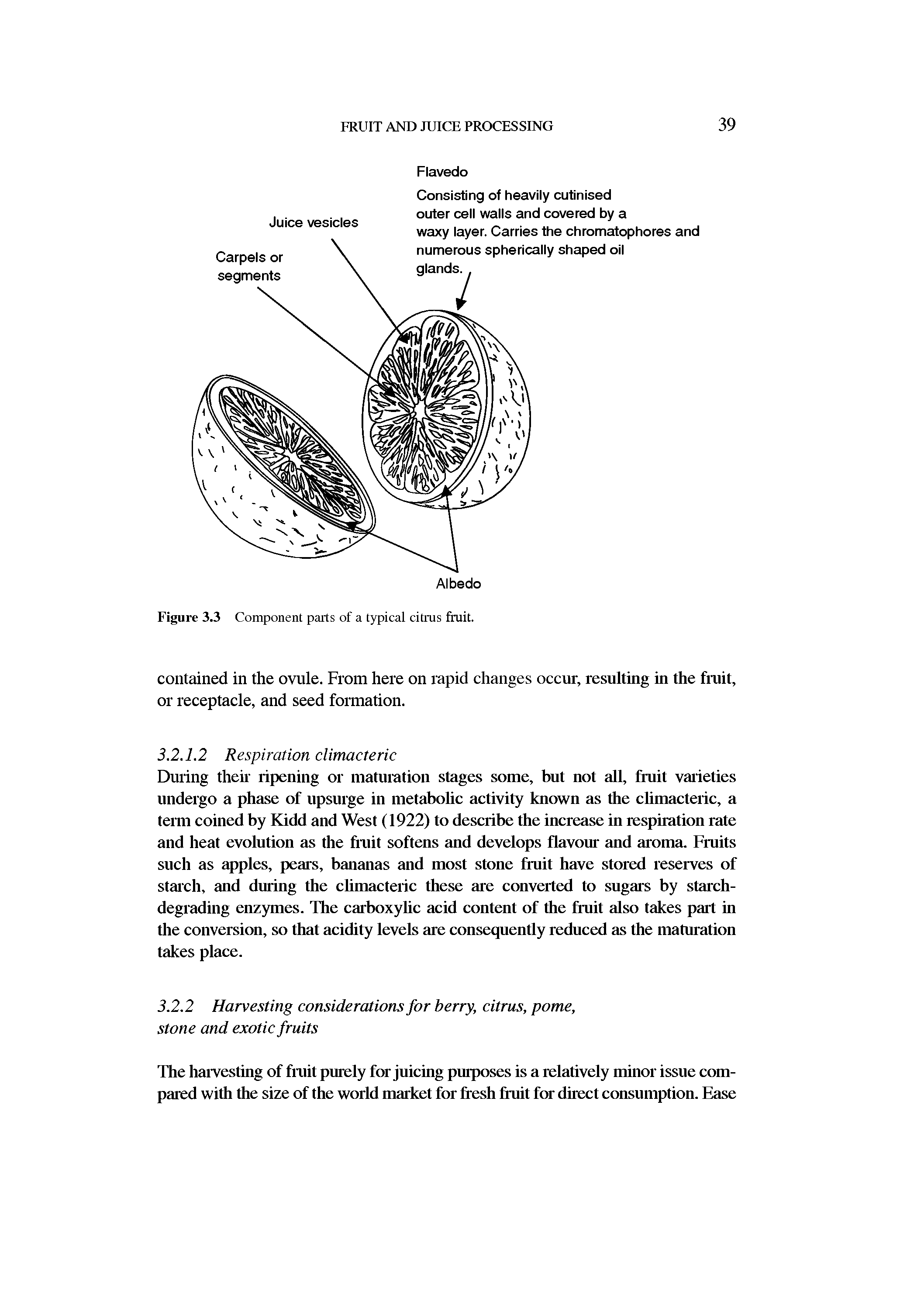 Figure 3.3 Component parts of a typical citrus fruit.