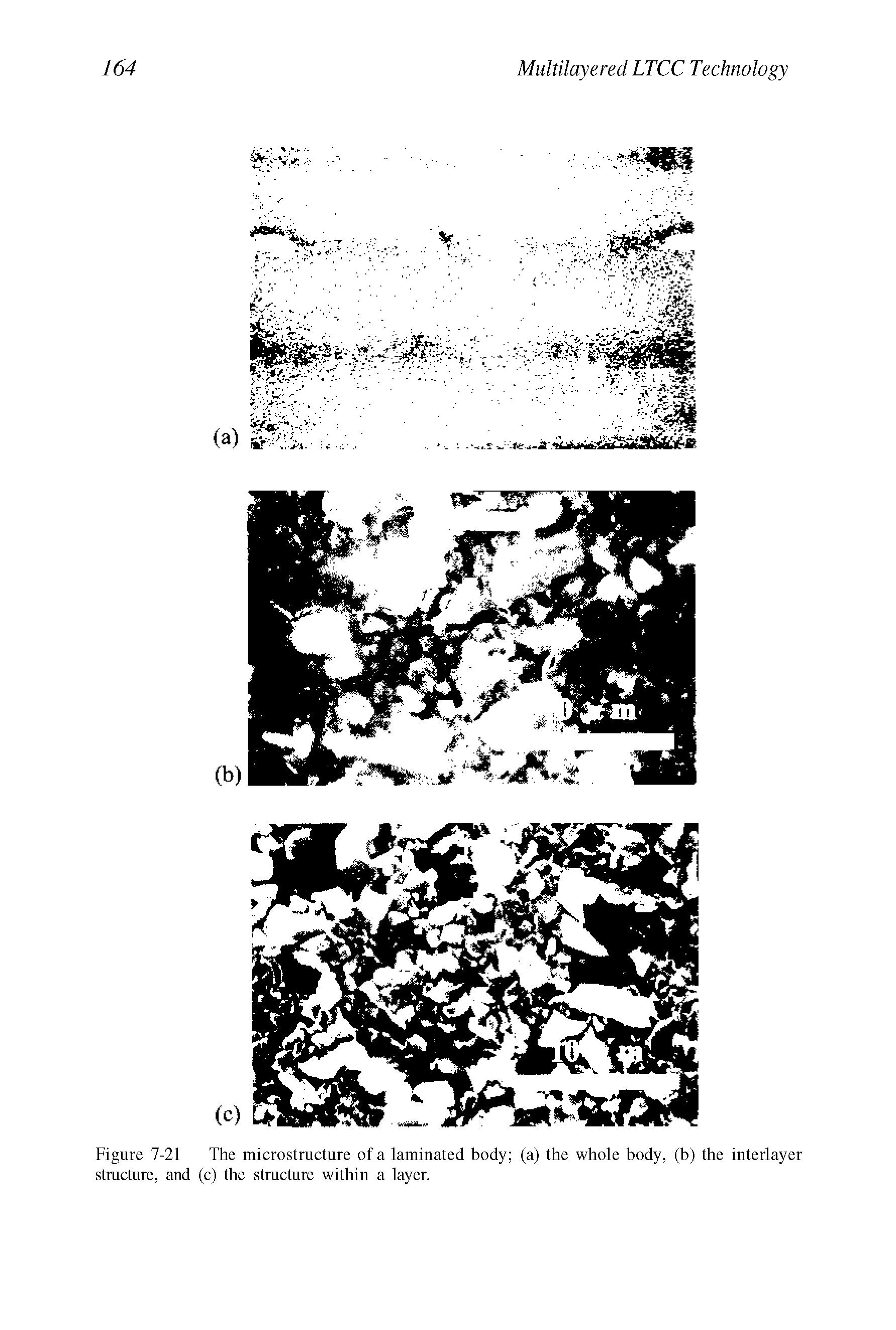 Figure 7-21 The microstructure of a laminated body (a) the whole body, (b) the interlayer stmcture, and (c) the structure within a layer.