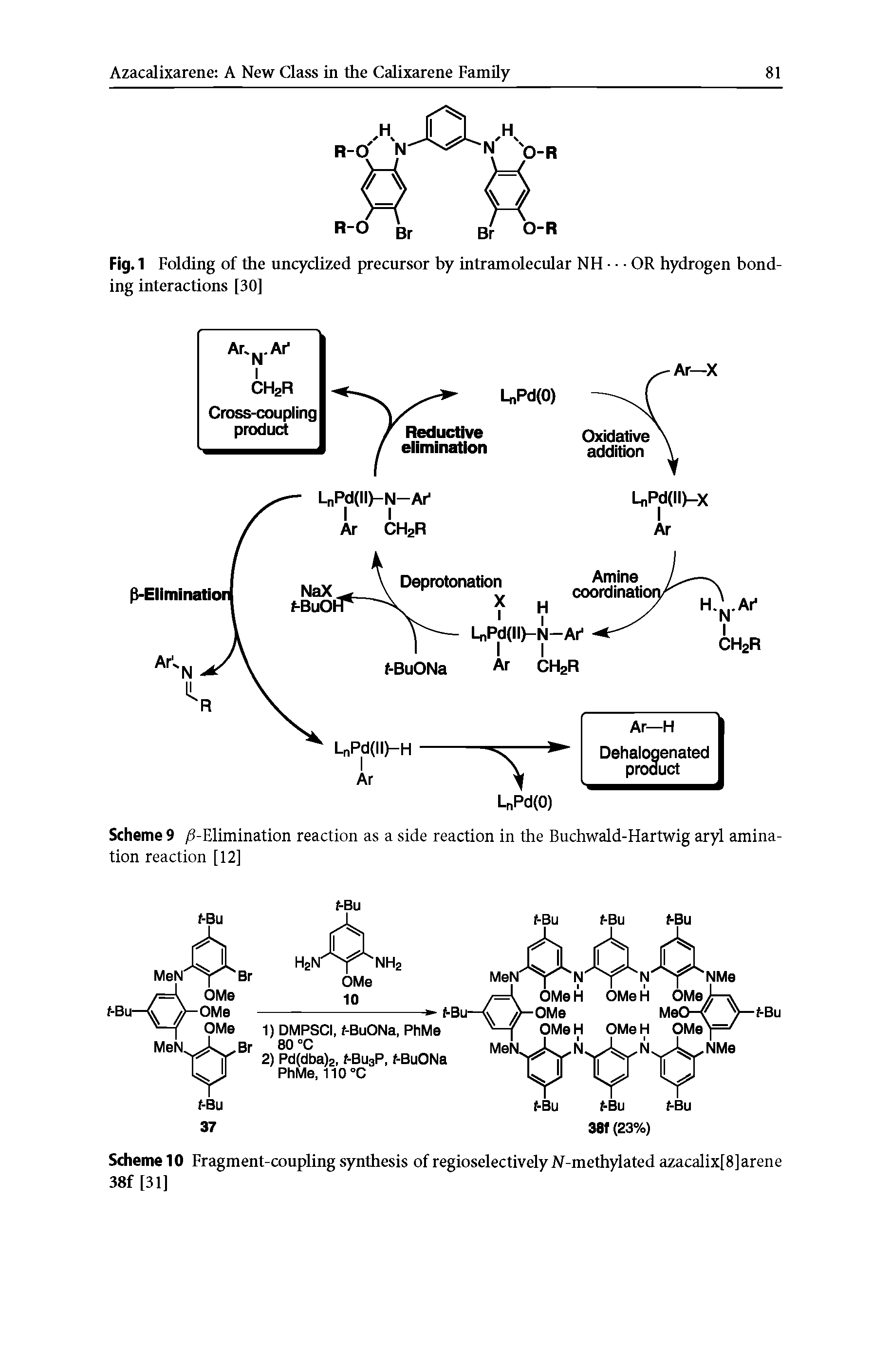 Scheme 9 8-Elimination reaction as a side reaction in the Buchwald-Hartwig aryl amina-tion reaction [12]...