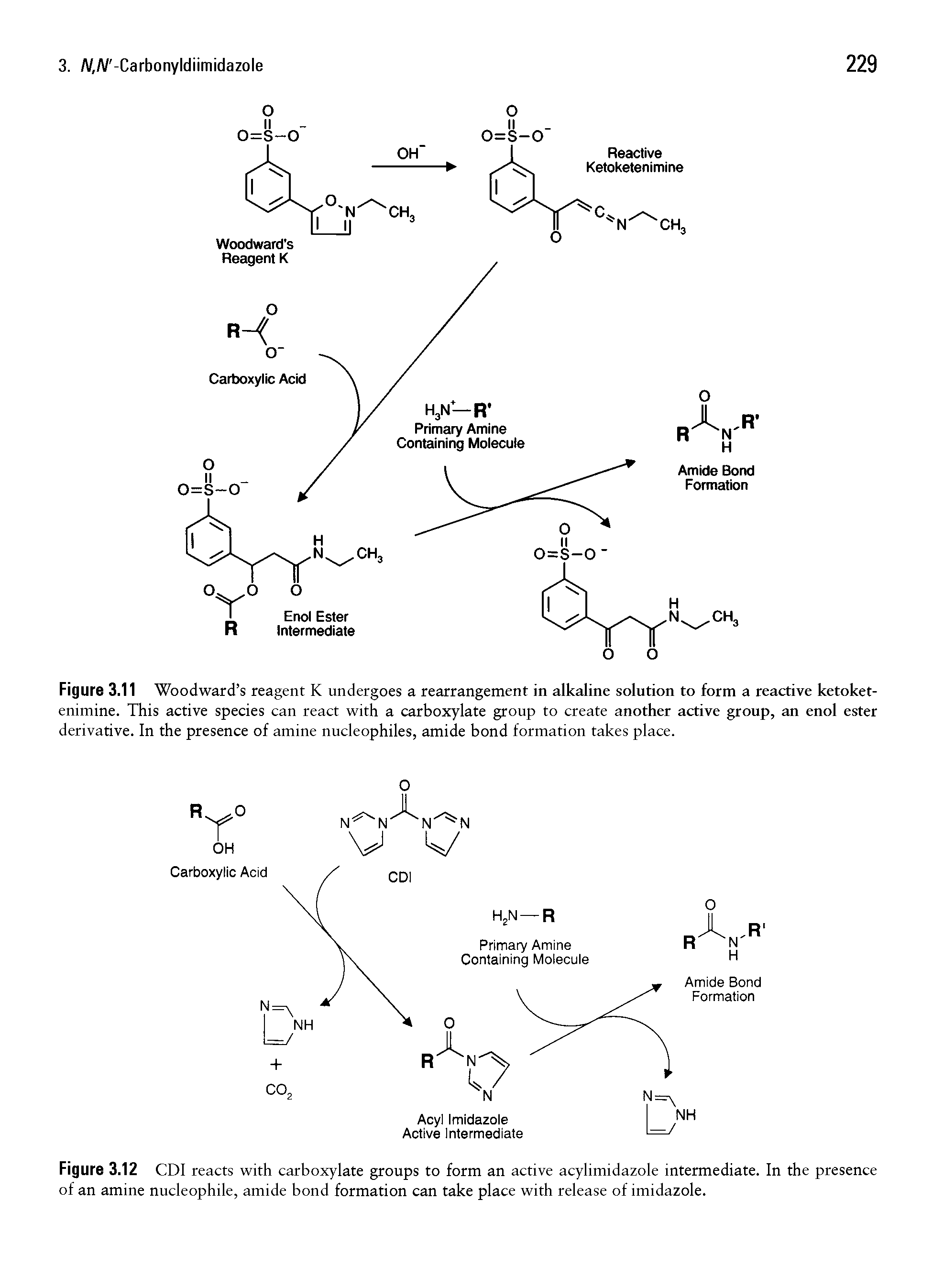 Figure 3.12 CDI reacts with carboxylate groups to form an active acylimidazole intermediate. In the presence of an amine nucleophile, amide bond formation can take place with release of imidazole.