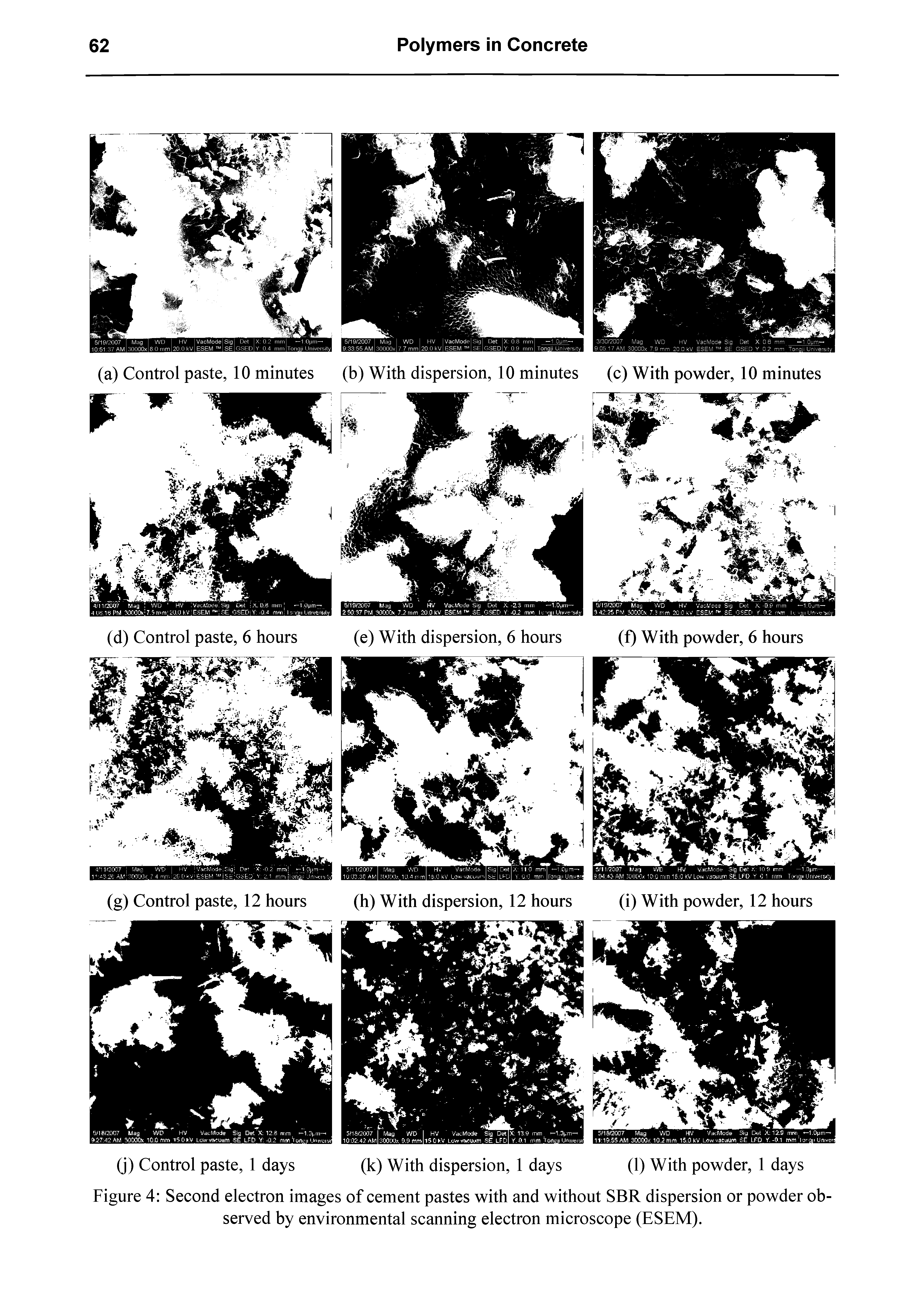 Figure 4 Second electron images of cement pastes with and without SBR dispersion or powder observed by environmental scanning electron microscope (ESEM).