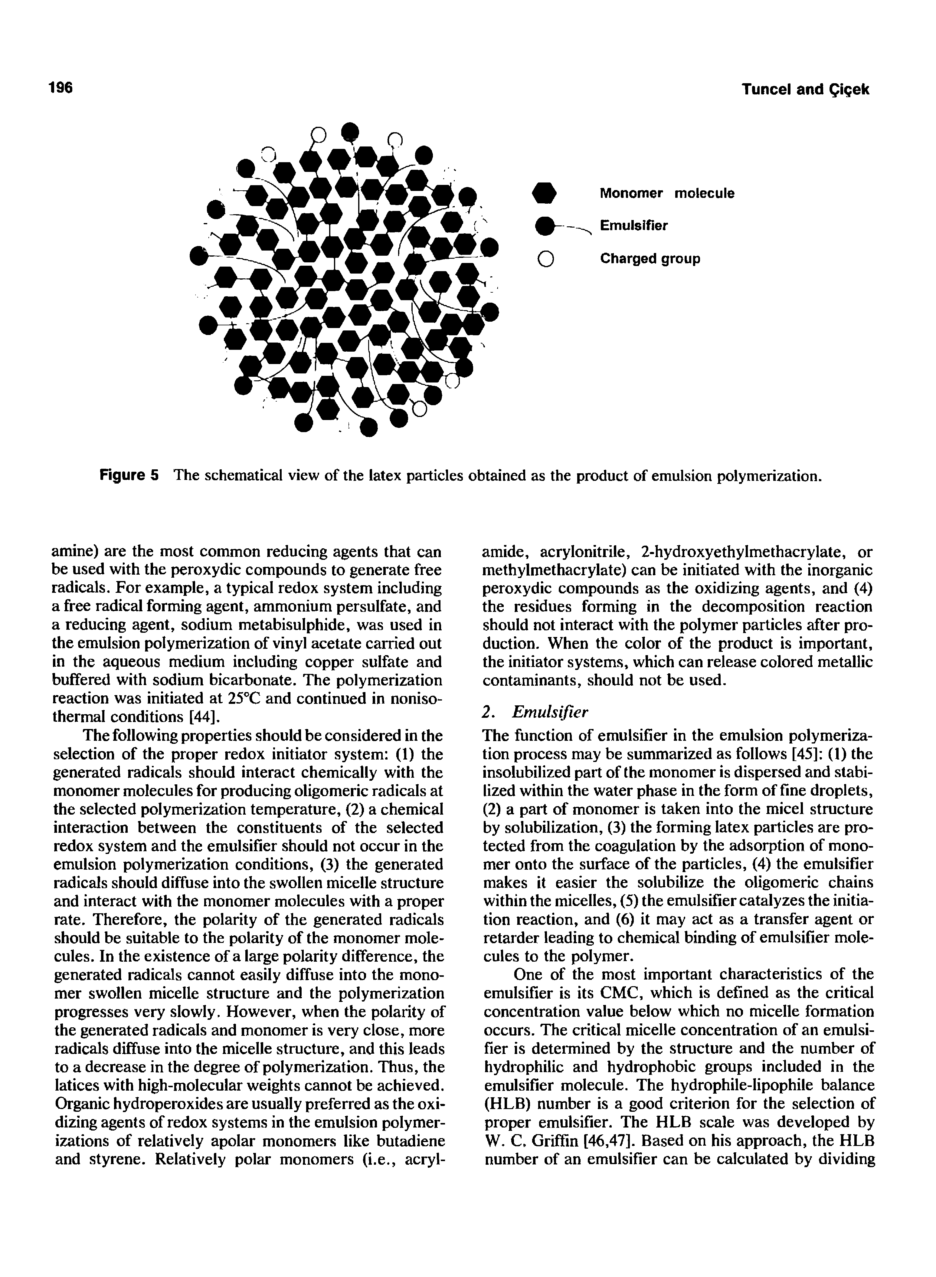 Figure 5 The schematical view of the latex particles obtained as the product of emulsion polymerization.