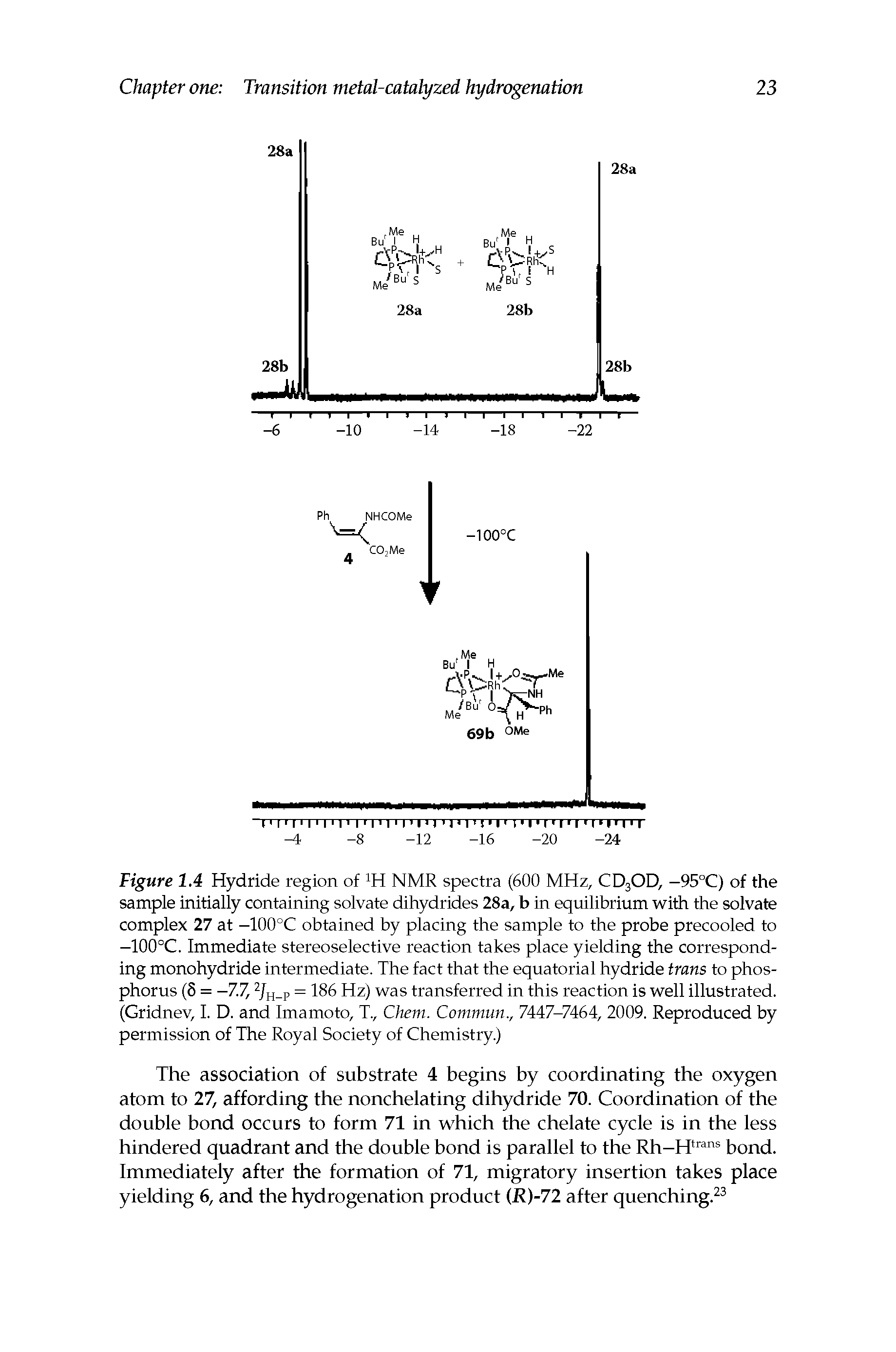 Figure 1.4 Hydride region of NMR spectra (600 MHz, CD3OD, —95°C) of the sample initially containing solvate dihydrides 28a, b in equilibrium with the solvate complex 27 at -100°C obtained by placing the sample to the probe precooled to -100°C. Immediate stereoselective reaction takes place yielding the corresponding monohydride intermediate. The fact that the equatorial hydride trans to phosphorus (5 = -7.7, = 186 Hz) was transferred in this reaction is well illustrated.