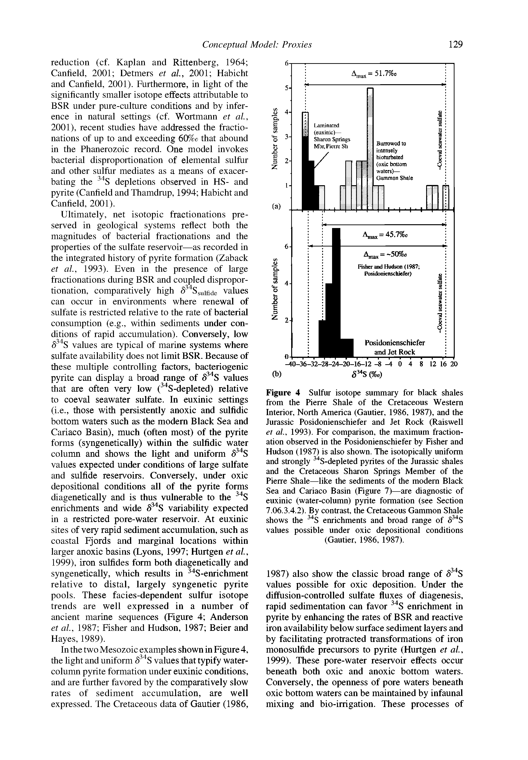 Figure 4 Sulfur isotope summary for black shales from the Pierre Shale of the Cretaceous Western Interior, North America (Gautier, 1986, 1987), and the Jurassic Posidonienschiefer and Jet Rock (Raiswell et al., 1993). For comparison, the maximum fractionation observed in the Posidonienschiefer by Fisher and Hudson (1987) is also shown. The isotopically uniform and strongly S-depleted pyrites of the Jurassic shales and the Cretaceous Sharon Springs Member of the Pierre Shale—like the sediments of the modern Black Sea and Cariaco Basin (Figure 7)—are diagnostic of euxinic (water-column) pyrite formation (see Section 7.06.3.4.2). By contrast, the Cretaceous Gammon Shale shows the S enrichments and broad range of 6 S values possible under oxic depositional conditions (Gautier, 1986, 1987).