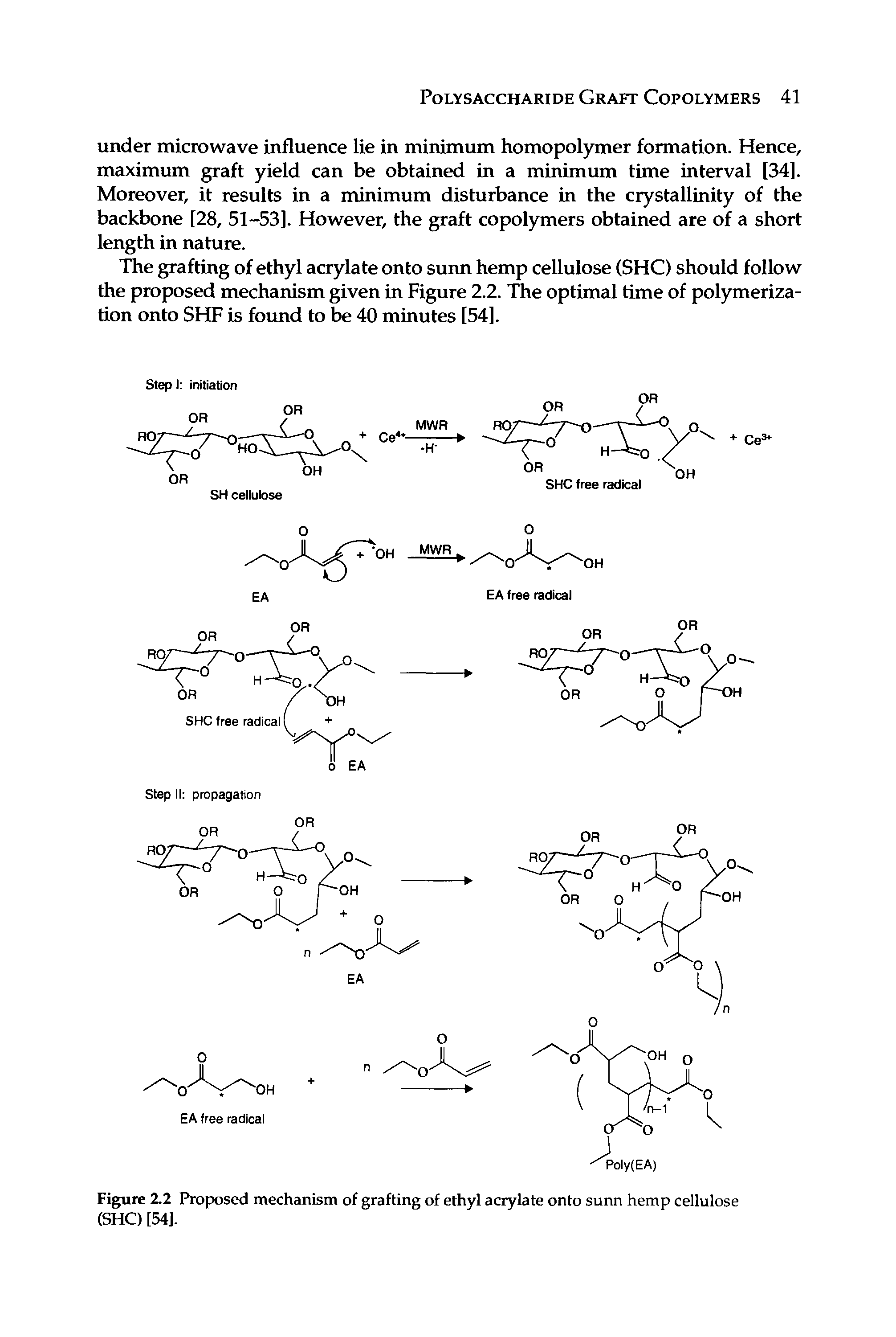 Figure 2.2 Proposed mechanism of grafting of ethyl acrylate onto sunn hemp cellulose (SHC) [54].