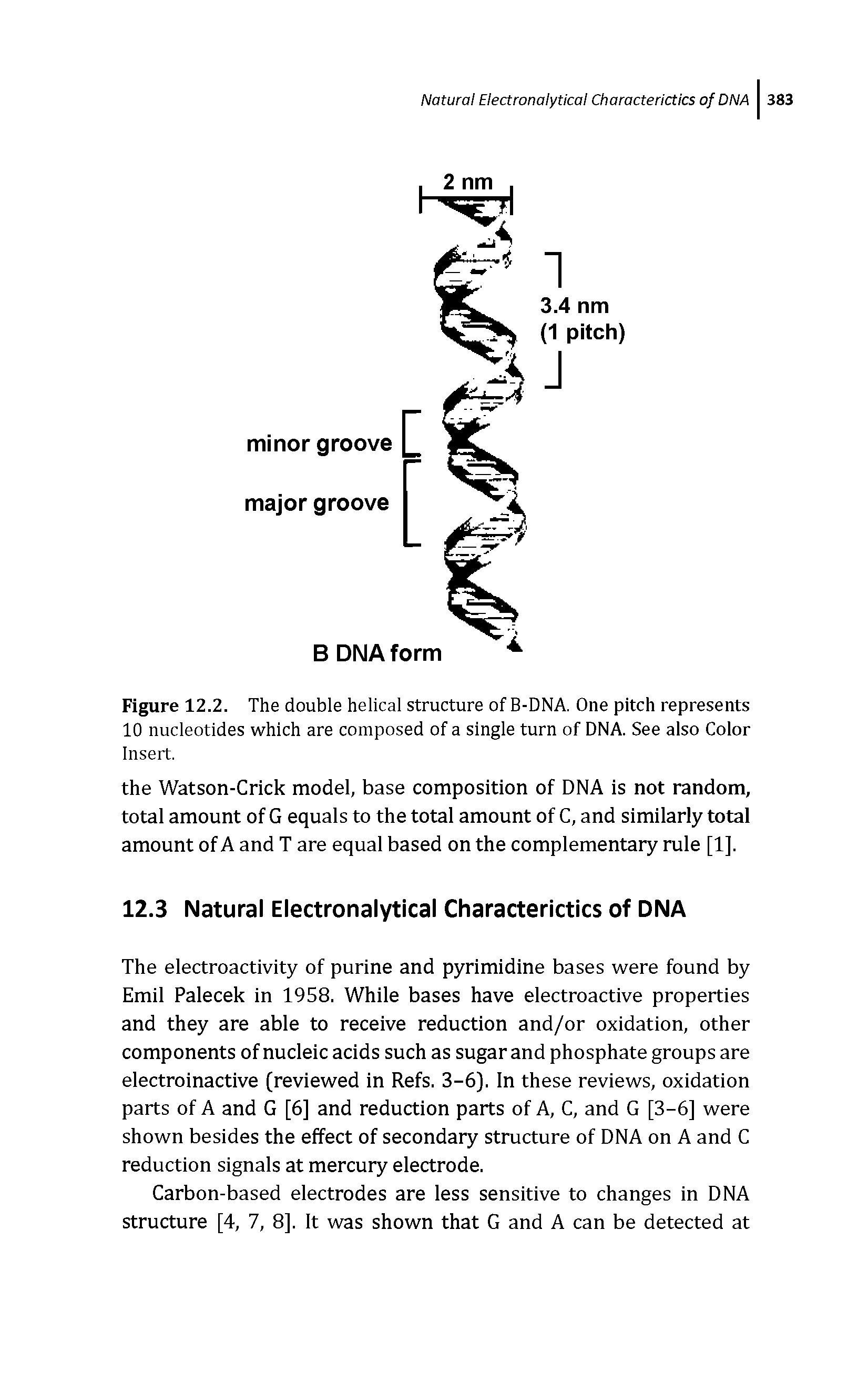 Figure 12.2. The double helical structure of B-DNA. One pitch represents 10 nucleotides which are composed of a single turn of DNA. See also Color Insert.