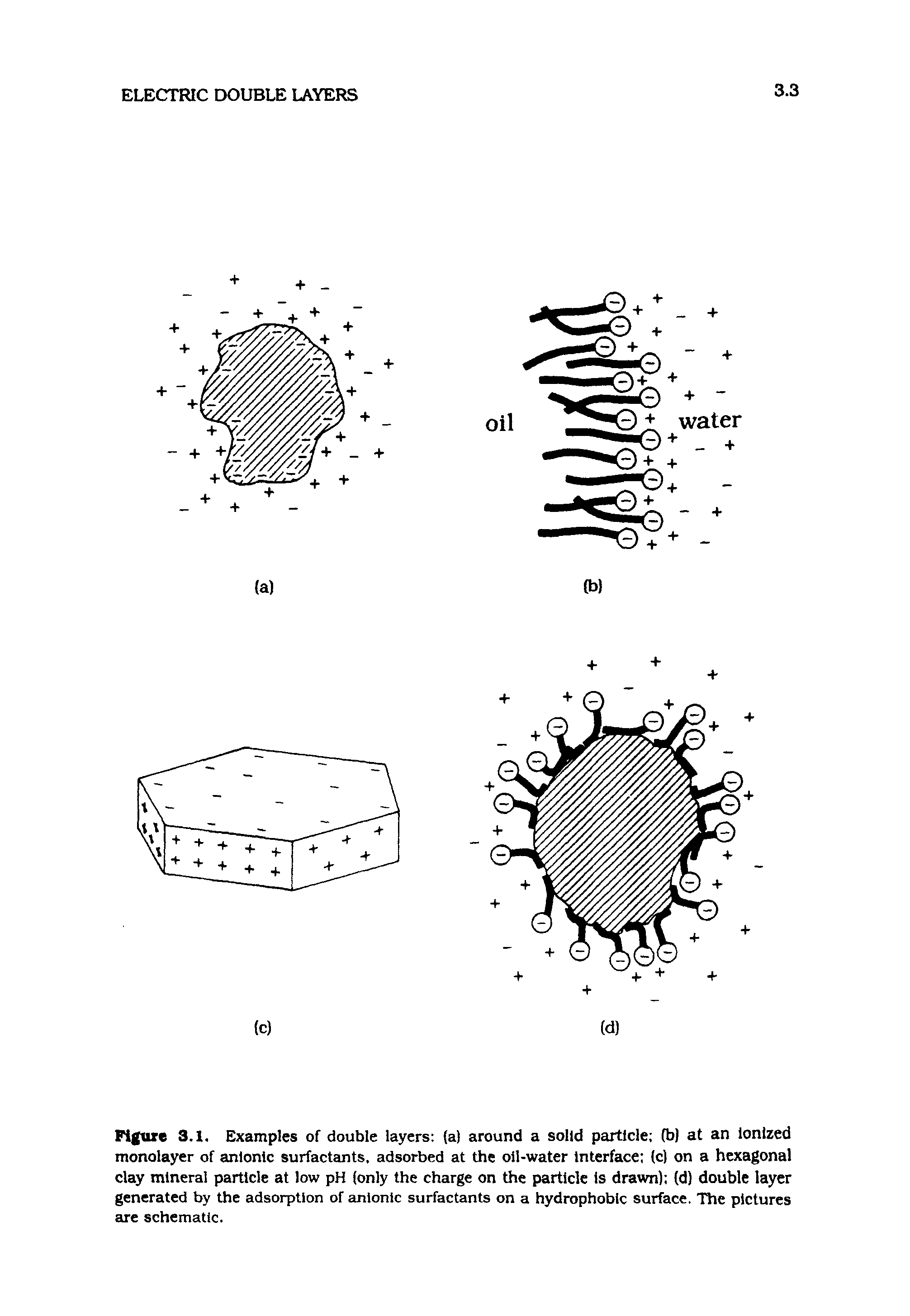 Figure 3.1. Examples of double layers (a) around a solid particle (b) at an Ionized monolayer of anionic surfactants, adsorbed at the oil-water Interface (c) on a hexagonal clay mineral particle at low pH (only the charge on the particle is drawn) (d) double layer generated by the adsorption of anionic surfactants on a hydrophobic surface. The pictures are schematic.