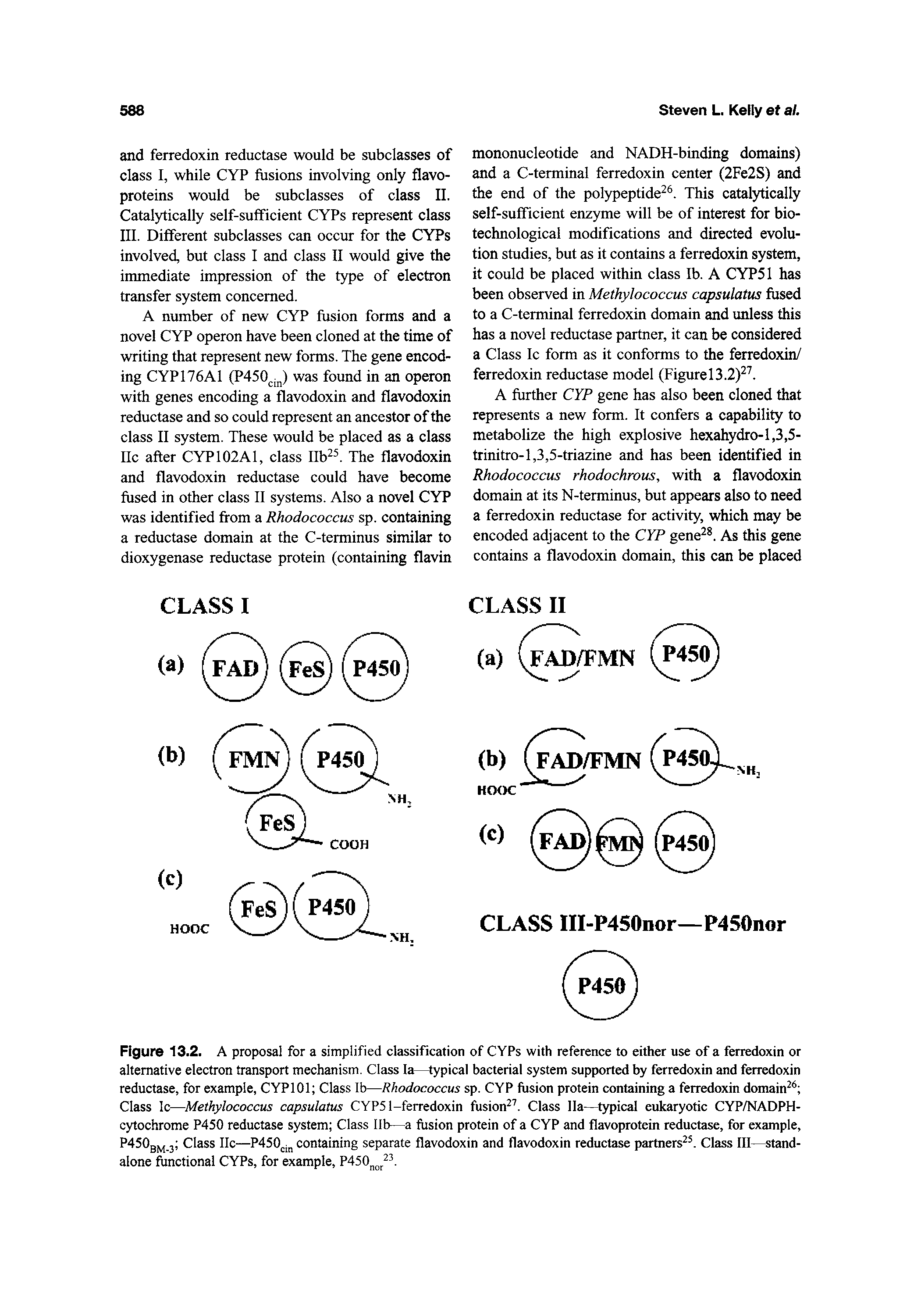 Figure 13.2. A proposal for a simplified classification of CYPs with reference to either use of a ferredoxin or alternative electron transport mechanism. Class la— typical bacterial system supported by ferredoxin and ferredoxin reductase, for example, CYPlOl Class Ib—Rhodococcus sp. CYP fusion protein containing a ferredoxin domain Class Ic—Methylococcus capsulatus CYPS 1-ferredoxin fusion . Class 11a— typical eukaryotic CYP/NADPH-cytochrome P450 reductase system Class lib—a fusion protein of a CYP and flavoprotein reductase, for example, P450gM 3 Class IIc—P450 j containing separate flavodoxin and flavodoxin reductase partners . Class fll—standalone functional CYPs, for example, P450jj. ...