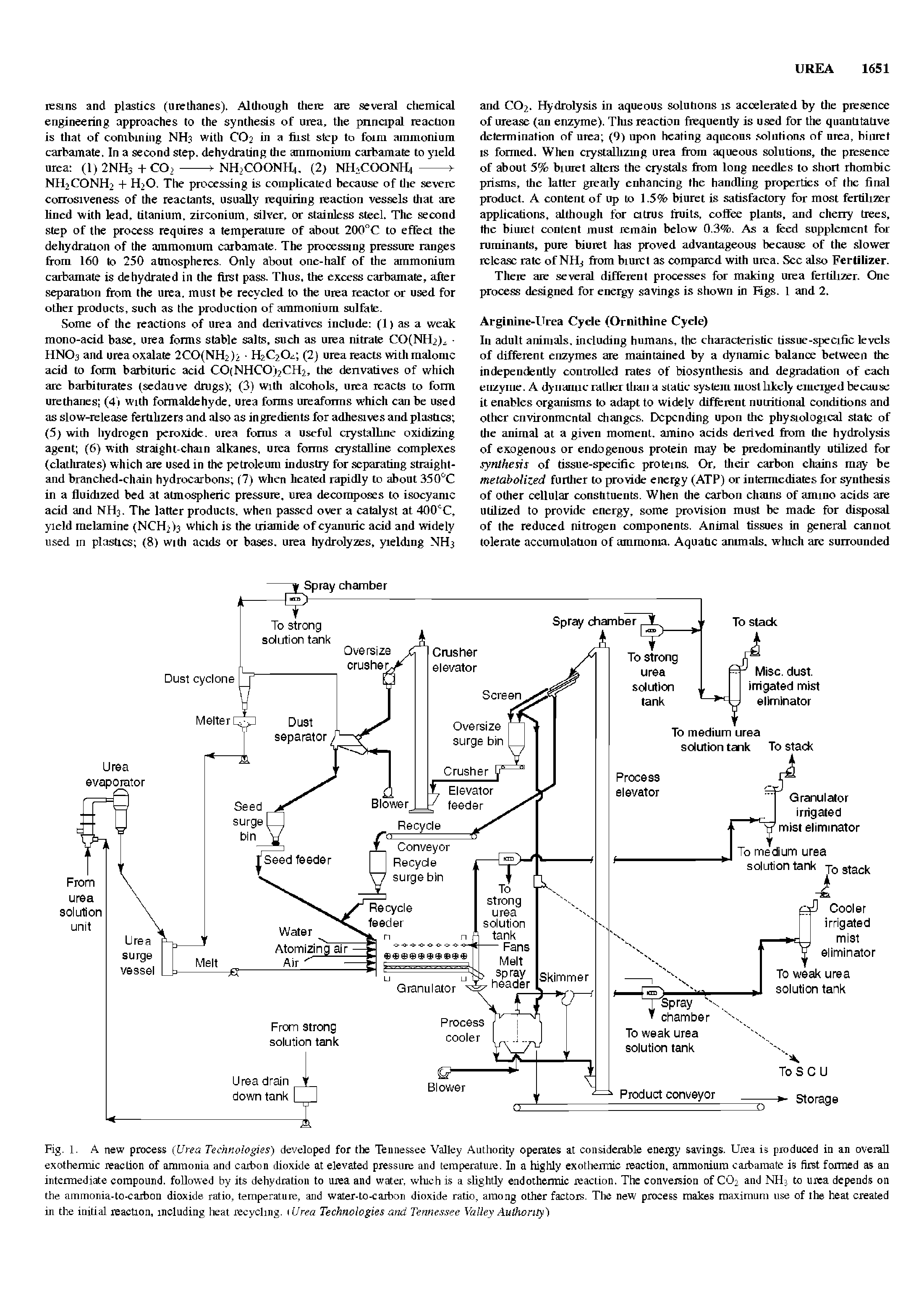 Fig. 1. A new process (Urea Technologies) developed for the Tennessee Valley Authority operates at considerable energy savings. Urea is produced in an overall exothermic reaction of ammonia and carbon dioxide at elevated pressure and temperature. In a highly exothermic reaction, ammonium carbamate is first formed as an intermediate compound, followed by its dehydration to urea and water, which is a slightly endothermic reaction. The conversion of CO2 and NH3 to urea depends oil the ammonia-to-caibon dioxide ratio, temperature, and water-to-carbon dioxide ratio, among other factors. The new process makes maximum use of the heat created in the initial reaction, including heat recycling. 1 Urea Technologies and Tennessee Valley Authority)...