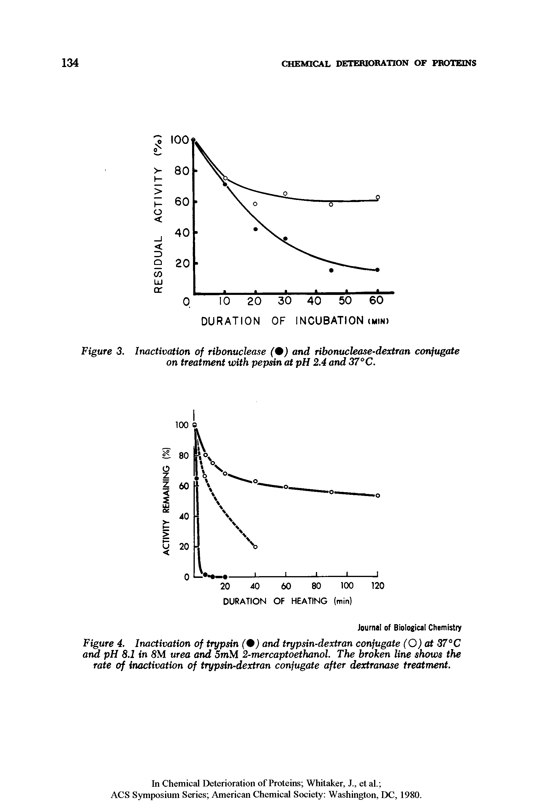 Figure 4. Inactivation of trypsin (0) and trypsin-dextran conjugate (O) at 37°C and pH 8.1 in 8M urea and 5mM 2-mercaptoethanol. The broken line shows the rate of inactivation of trypsin-dextran conjugate after dextranase treatment.