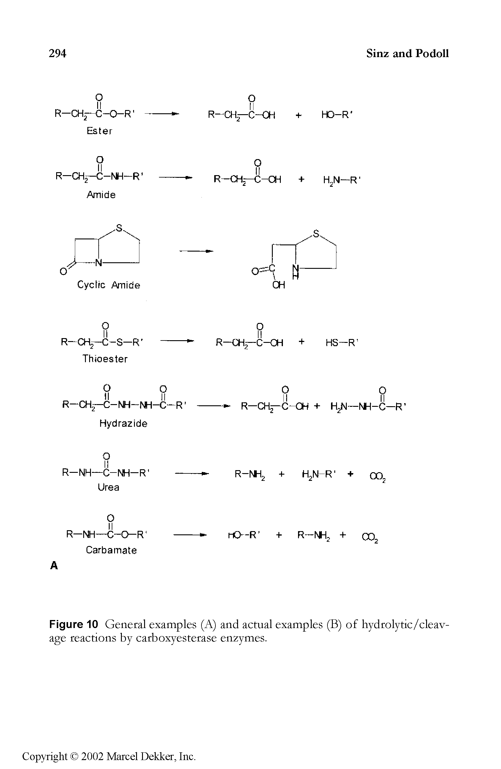 Figure 10 General examples (A) and actual examples (B) of hydrolytic/cleav-age reactions by carboxyesterase enzymes.