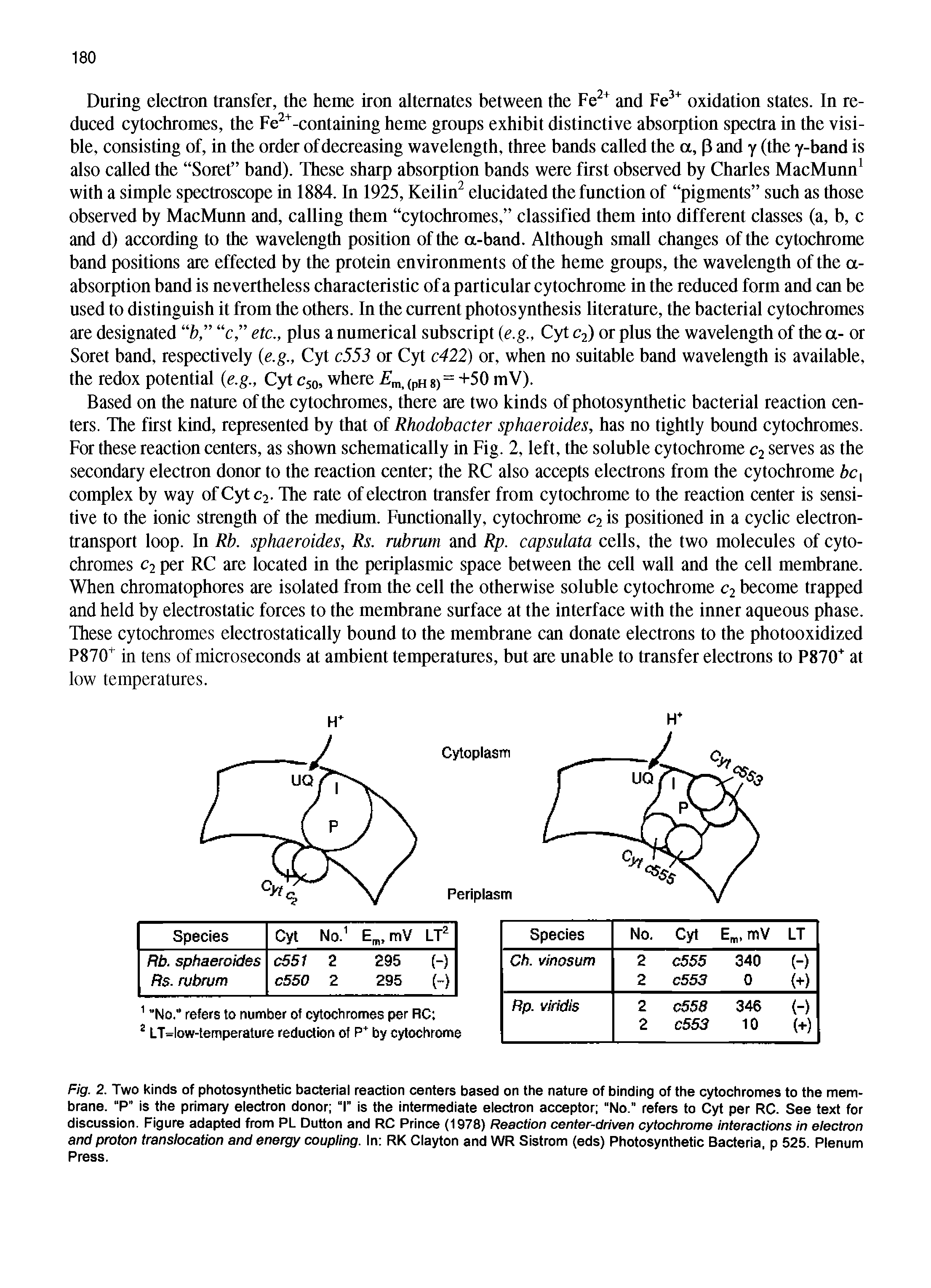 Fig. 2. Two kinds of photosynthetic bacterial reaction centers based on the nature of binding of the cytochromes to the membrane. P is the primary electron donor T is the intermediate electron acceptor No." refers to Cyt per RC. See text for discussion. Figure adapted from PL Dutton and RC Prince (1978) Reaction center-driven cytochrome interactions in electron and proton translocation and energy coupling. In RK Clayton and WR Sistrom (eds) Photosynthetic Bacteria, p 525. Plenum Press.