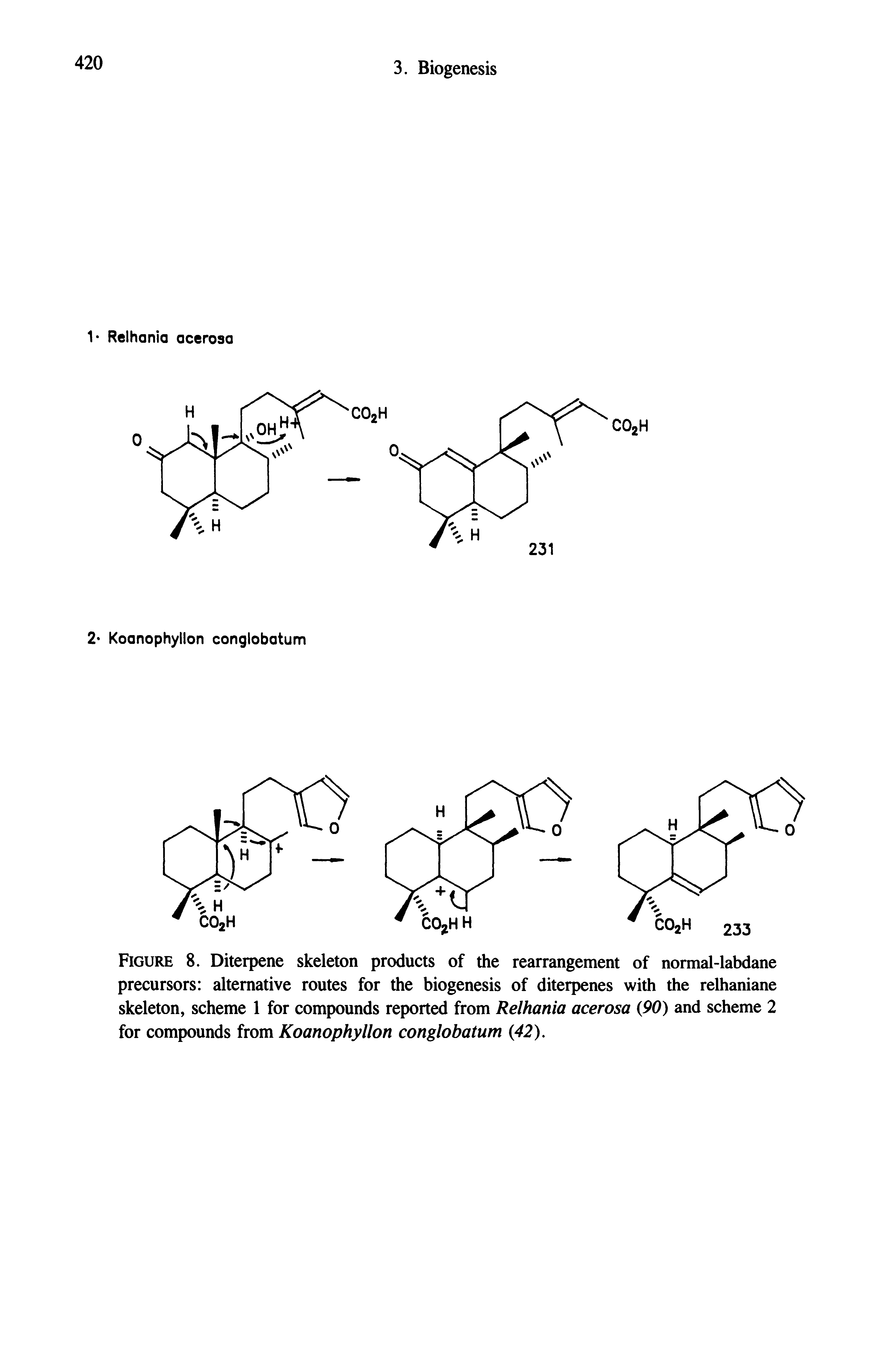 Figure 8. Diterpene skeleton products of the rearrangement of normal-labdane precursors alternative routes for the biogenesis of diterpenes with the relhaniane skeleton, scheme 1 for compounds reported from Relhania acerosa 90) and scheme 2 for compounds from Koanophyllon conglobatum 42),...