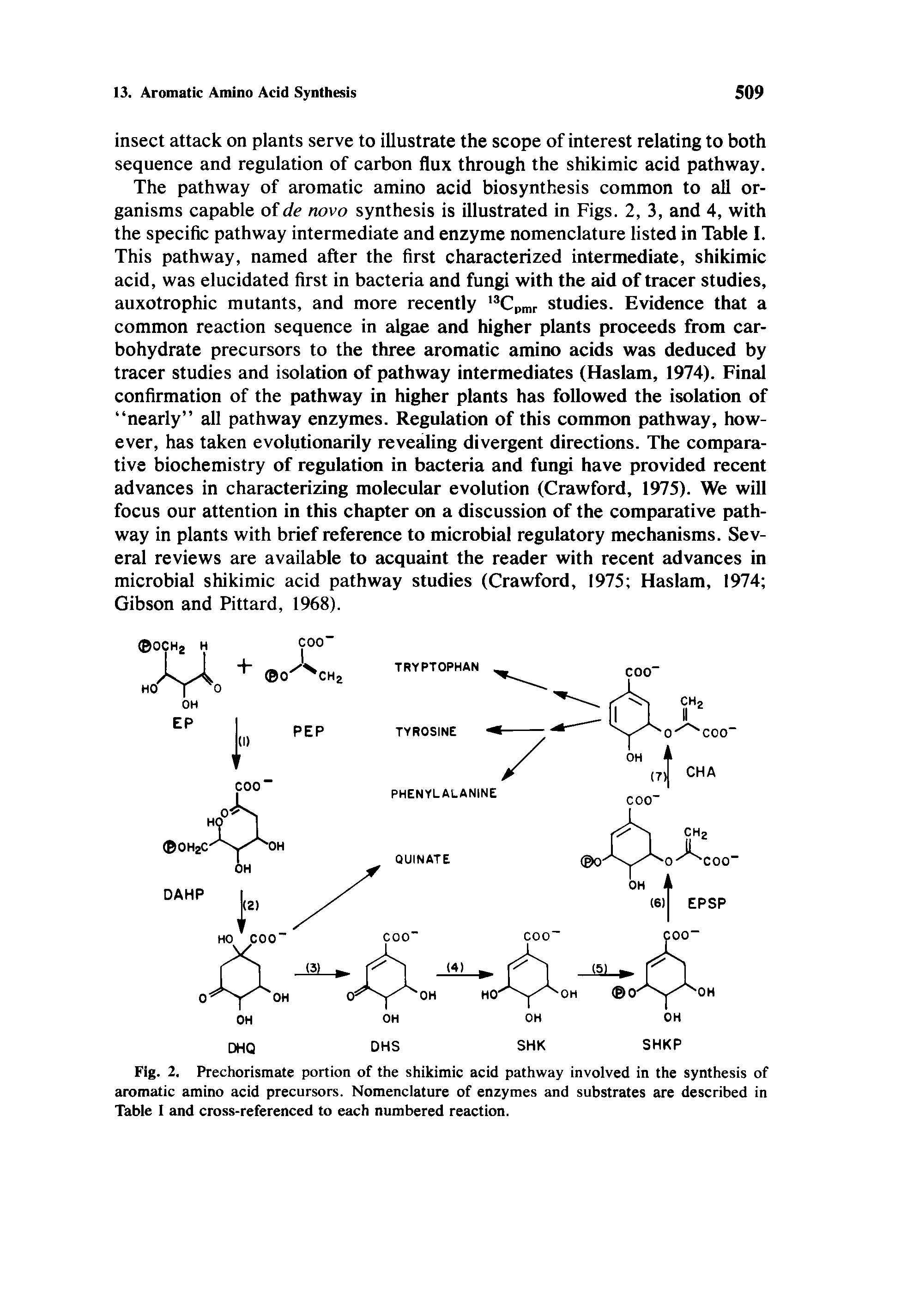 Fig. 2. Prechorismate portion of the shikimic acid pathway involved in the synthesis of aromatic amino acid precursors. Nomenclature of enzymes and substrates are described in Table I and cross-referenced to each numbered reaction.