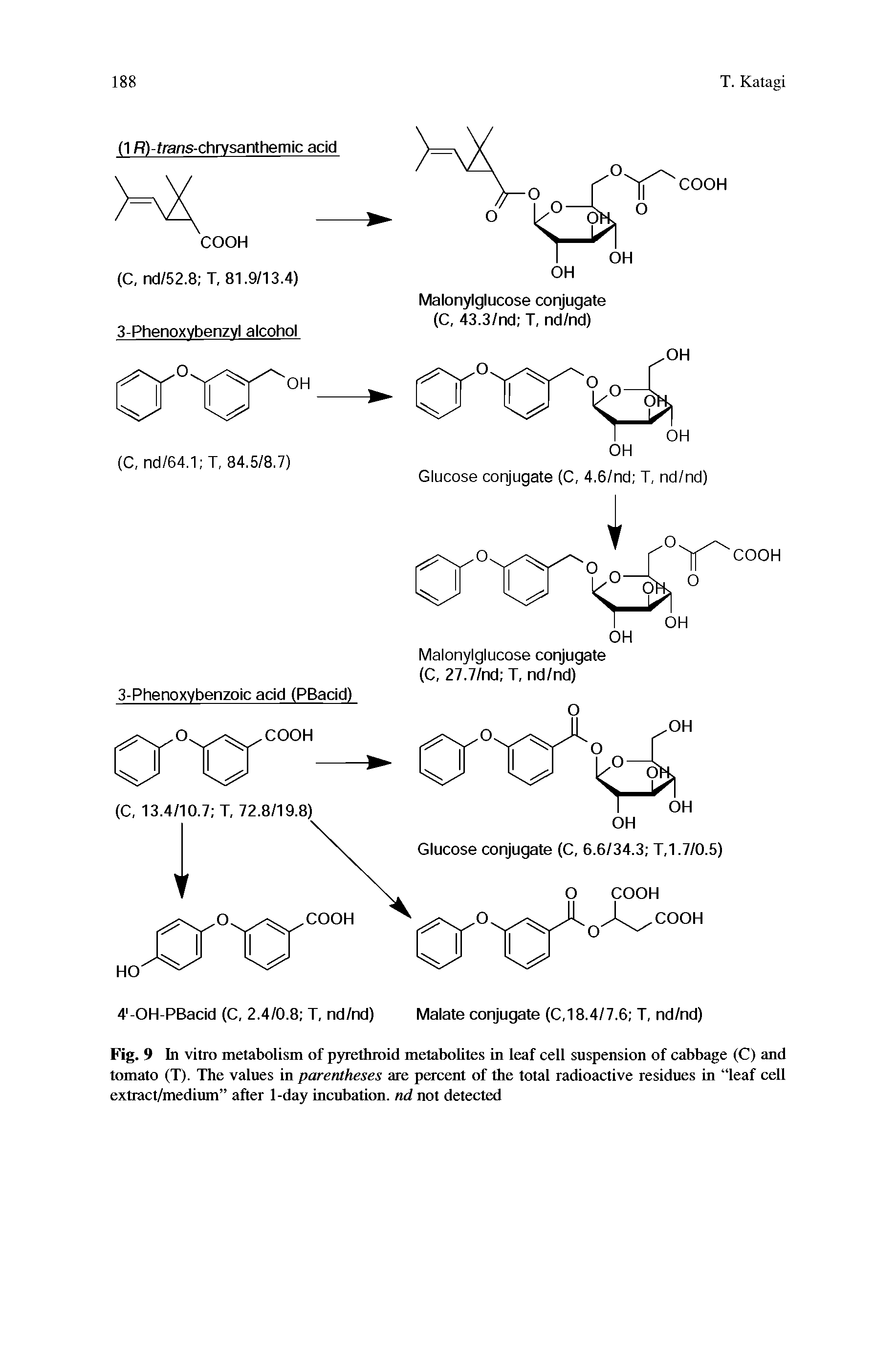 Fig. 9 In vitro metabolism of pyrethroid metabolites in leaf cell suspension of cabbage (C) and tomato (T). The values in parentheses are percent of the total radioactive residues in leaf cell extract/medium after 1-day incubation, nd not detected...