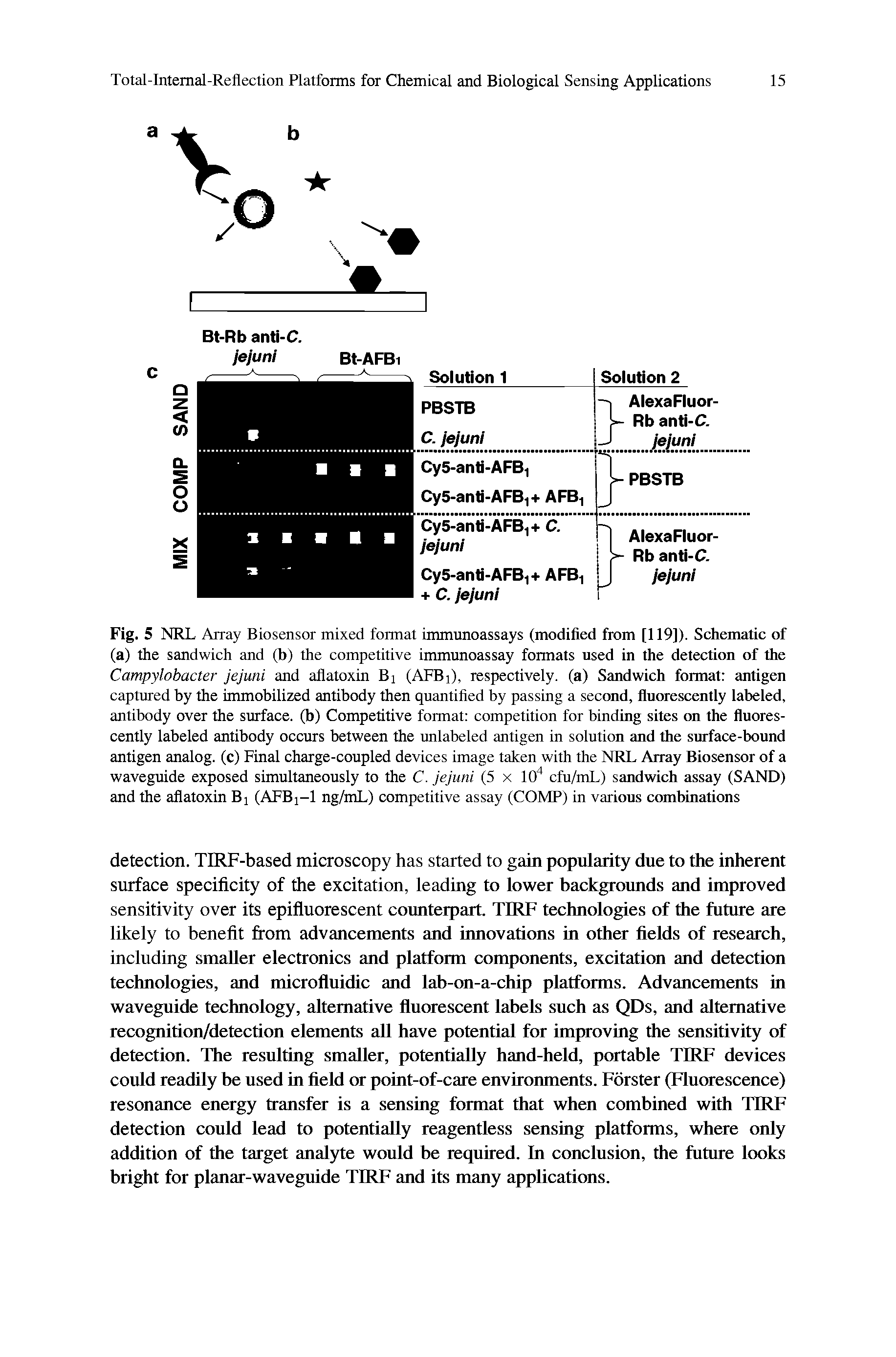 Fig. 5 NRL Array Biosensor mixed format immunoassays (modified from [119]). Schematic of (a) the sandwich and (b) the competitive immunoassay fonnats used in the detection of the Campylobacter jejuni and aflatoxin Bi (AFBi), respectively, (a) Sandwich format antigen captured by the immobilized antibody then quantified by passing a second, fluorescently labeled, antibody over the surface, (b) Competitive format competition for binding sites on the fluorescently labeled antibody occurs between the unlabeled antigen in solution and the surface-bound antigen analog, (c) Final charge-coupled devices image taken with the NRL Array Biosensor of a waveguide exposed simultaneously to the C. jejuni (5 x 10" cfu/mL) sandwich assay (SAND) and the aflatoxin Bj (AFBi-1 ng/mL) competitive assay (COMP) in various combinations...