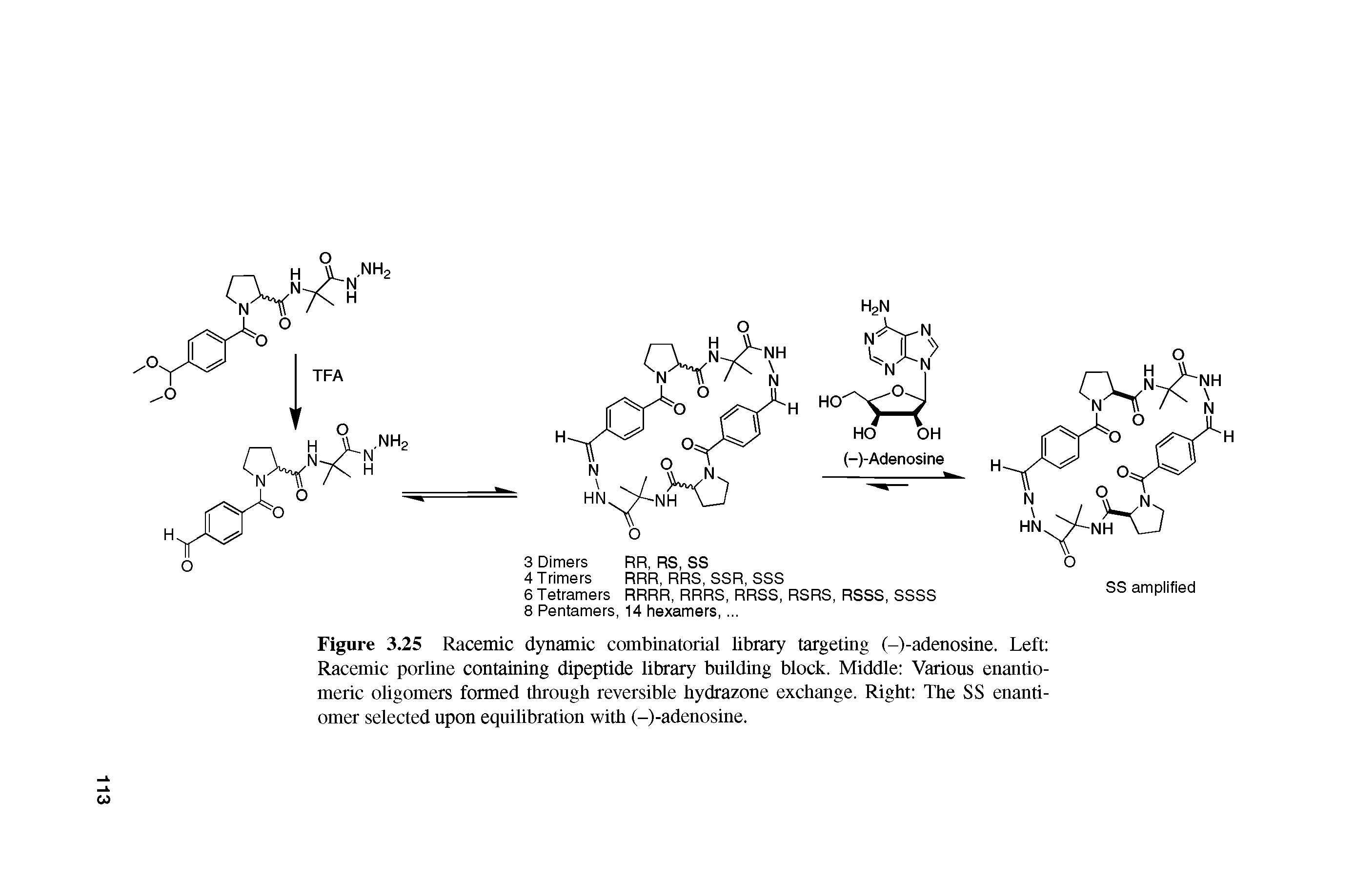 Figure 3.25 Racemic dynamic combinatorial library targeting (-)-adenosine. Left Racemic porline containing dipeptide library building block. Middle Various enantiomeric oligomers formed through reversible hydrazone exchange. Right The SS enantiomer selected upon equilibration with (-)-adenosine.