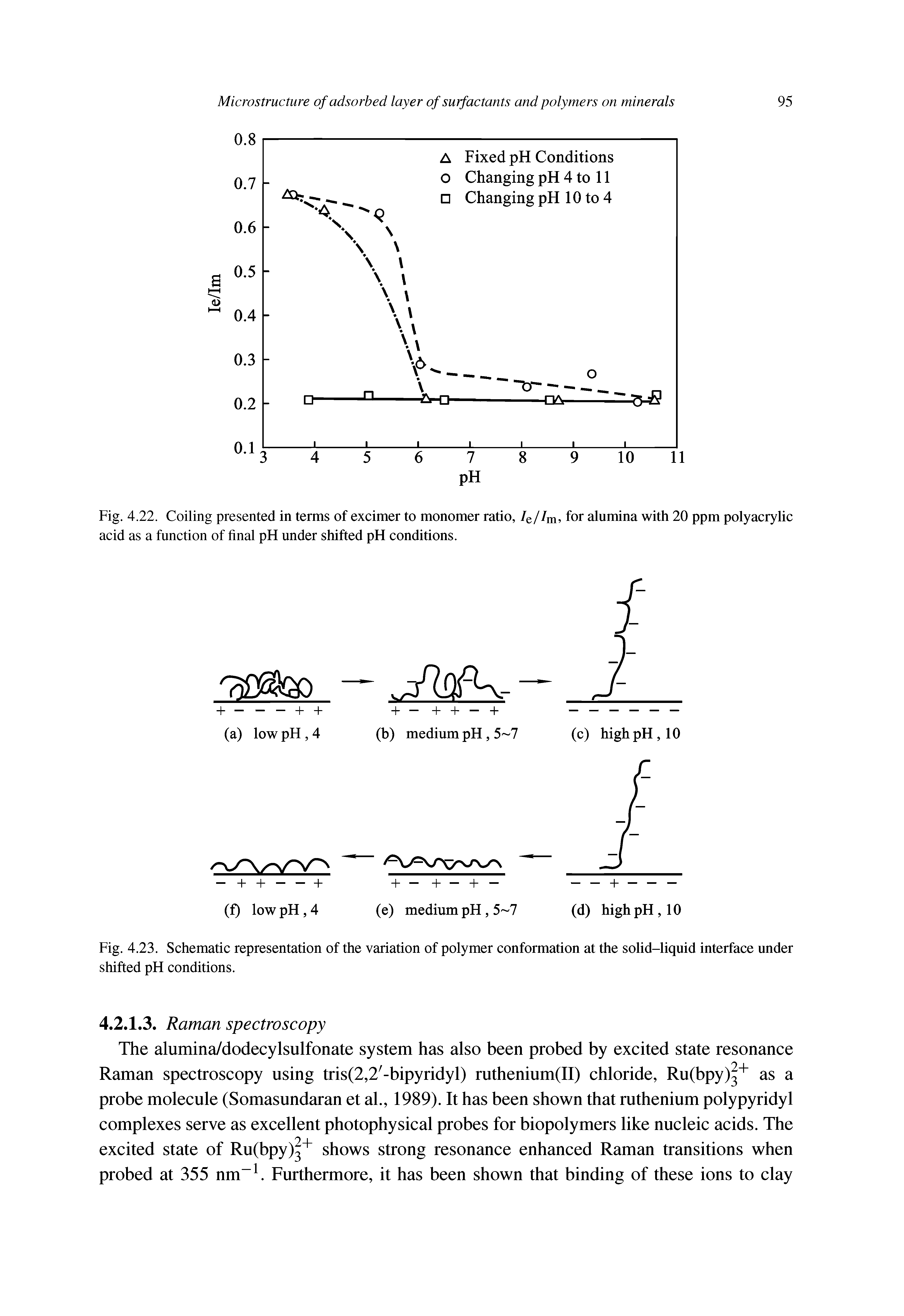 Fig. 4.23. Schematic representation of the variation of polymer conformation at the solid-liquid interface under shifted pH conditions.