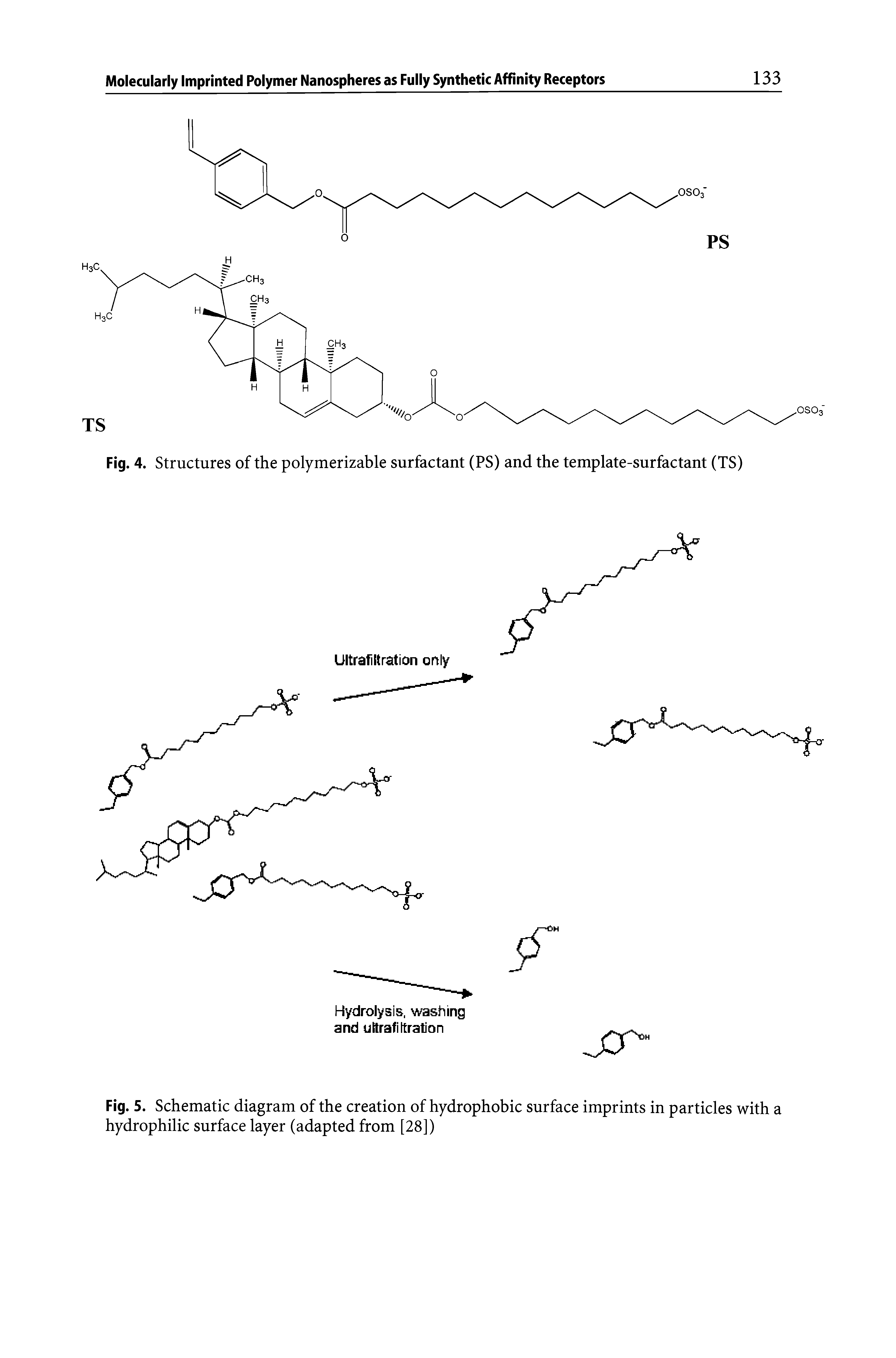 Fig. 5. Schematic diagram of the creation of hydrophobic surface imprints in particles with a hydrophilic surface layer (adapted from [28])...