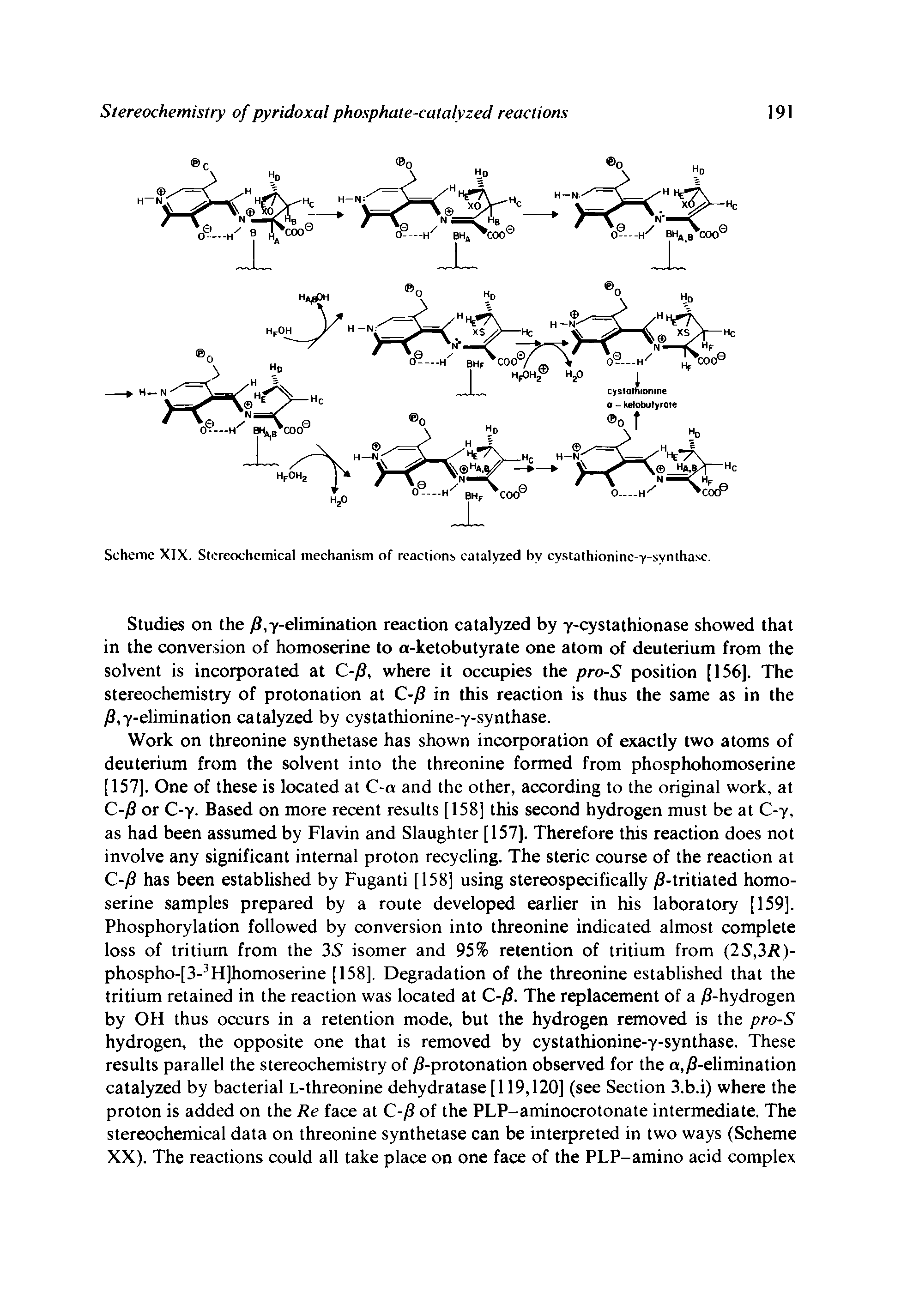 Scheme XIX. Stereochemical mechanism of reactions catalyzed by cystathioninc-y-synthasc.