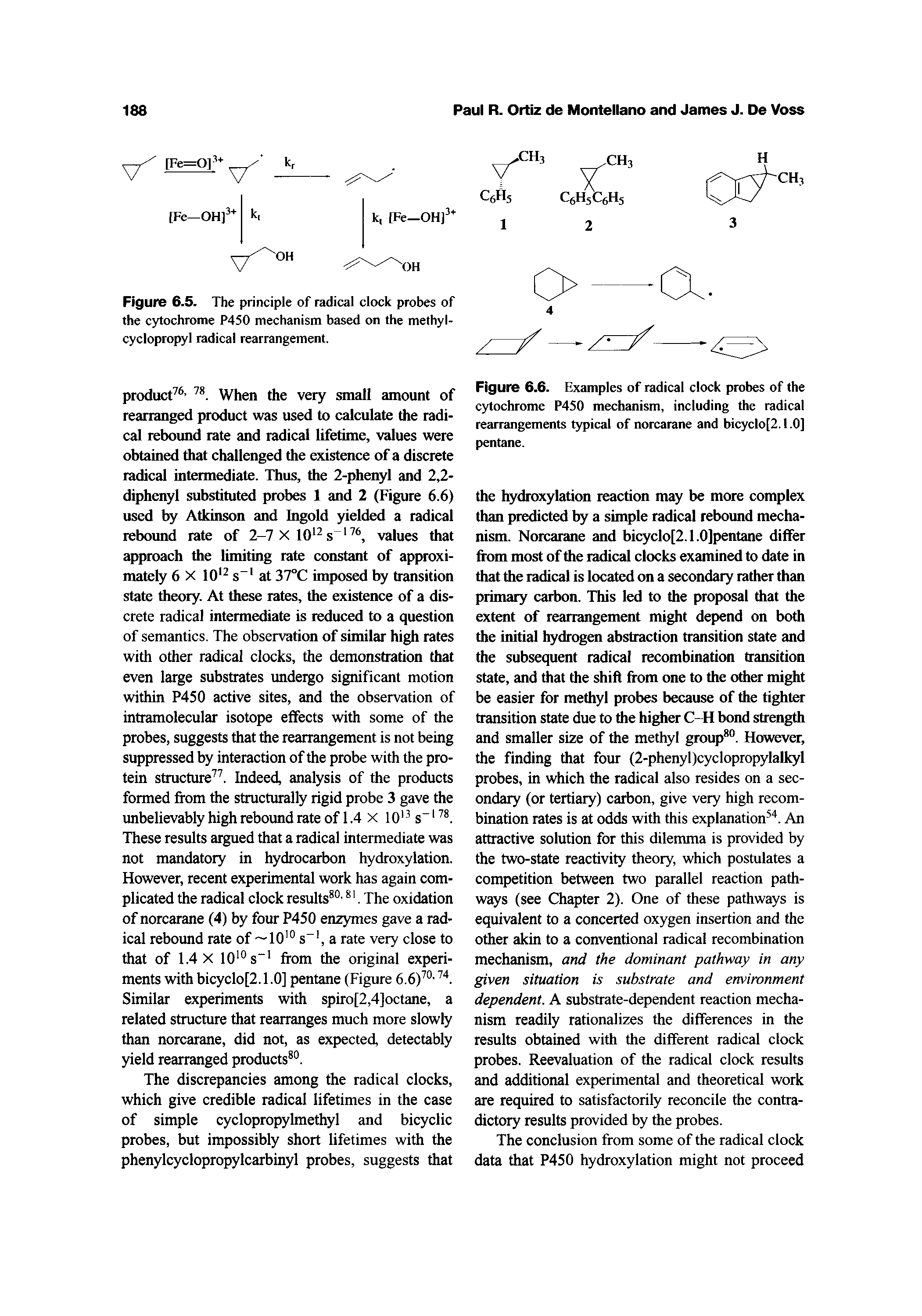 Figure 6.5. The principle of radical clock probes of the cytochrome P450 mechanism based on the methyl-cyclopropyl radical rearrangement.