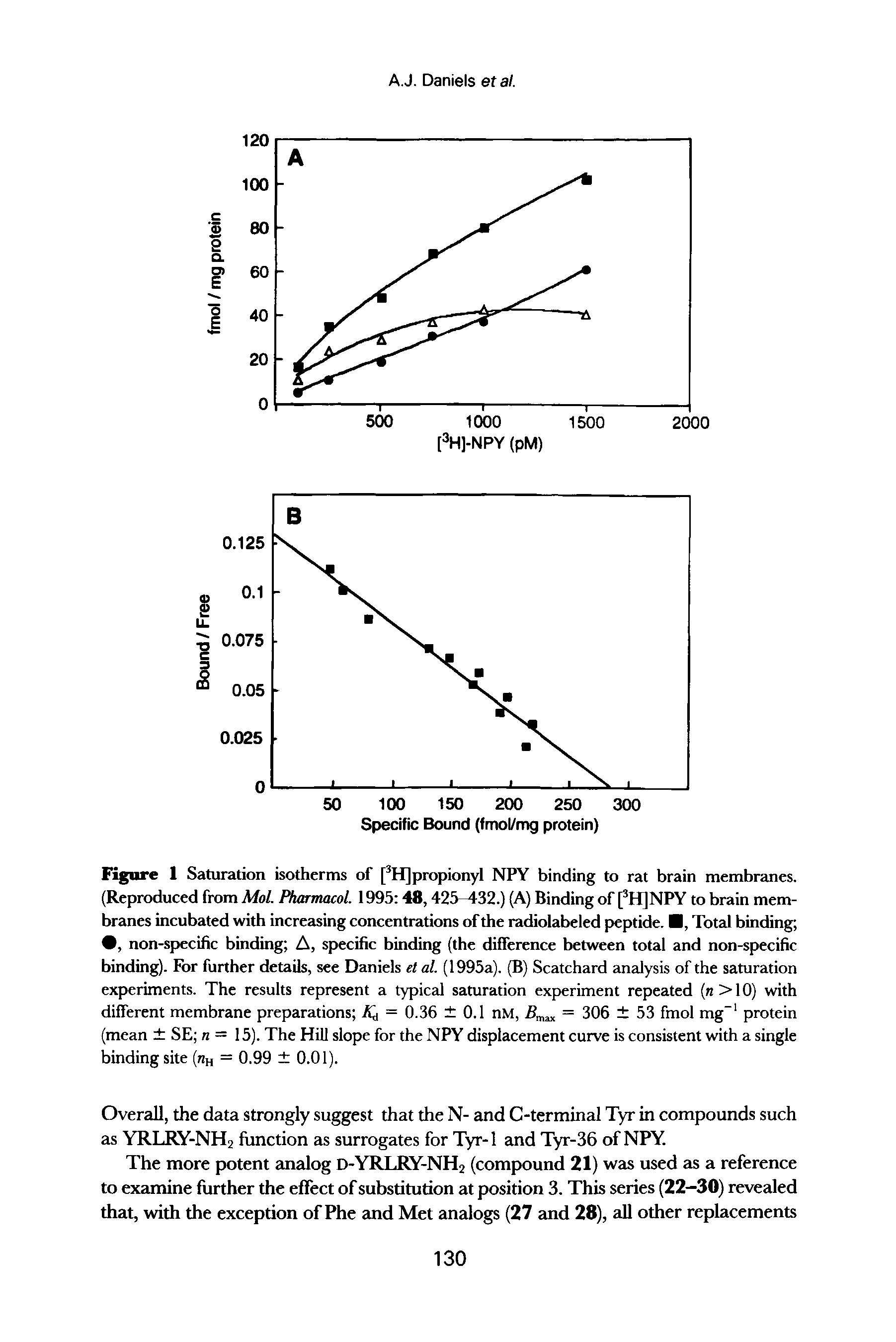 Figure I Saturation isotherms of [3H]propionyl NPY binding to rat brain membranes. (Reproduced from Mol. Pharmacol. 1995 48,425 432.) (A) Binding of [3H]NPY to brain membranes incubated with increasing concentrations of the radiolabeled peptide. , Total binding , non-specific binding A, specific binding (the difference between total and non-specific binding). For further details, see Daniels et al. (1995a). (B) Scatchard analysis of the saturation experiments. The results represent a typical saturation experiment repeated (n >10) with different membrane preparations = 0.36 0.1 nM, = 306 53 fmol mg-1 protein (mean SE n = 15). The Hill slope for the NPY displacement curve is consistent with a single binding site (nH = 0.99 0.01).