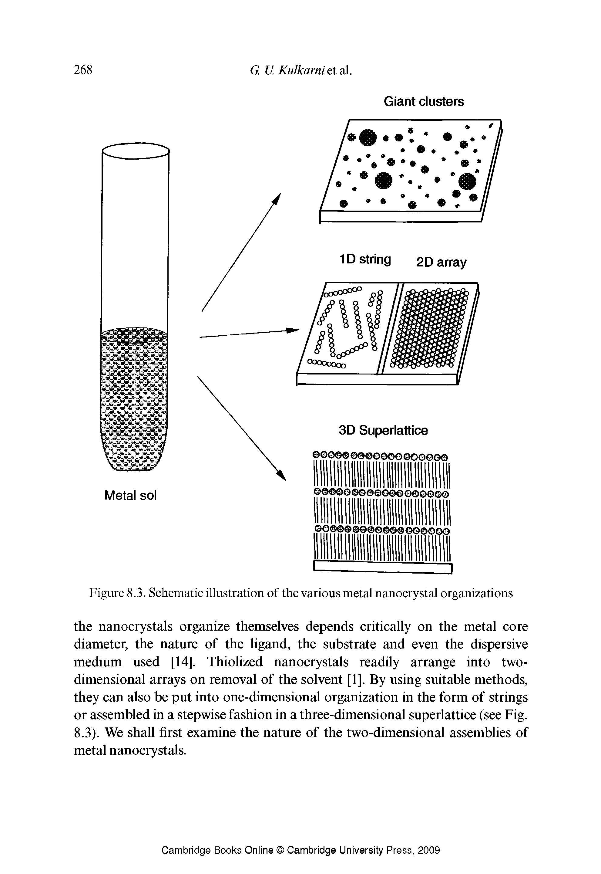 Figure 8.3. Schematic illustration of the various metal nanocrystal organizations...