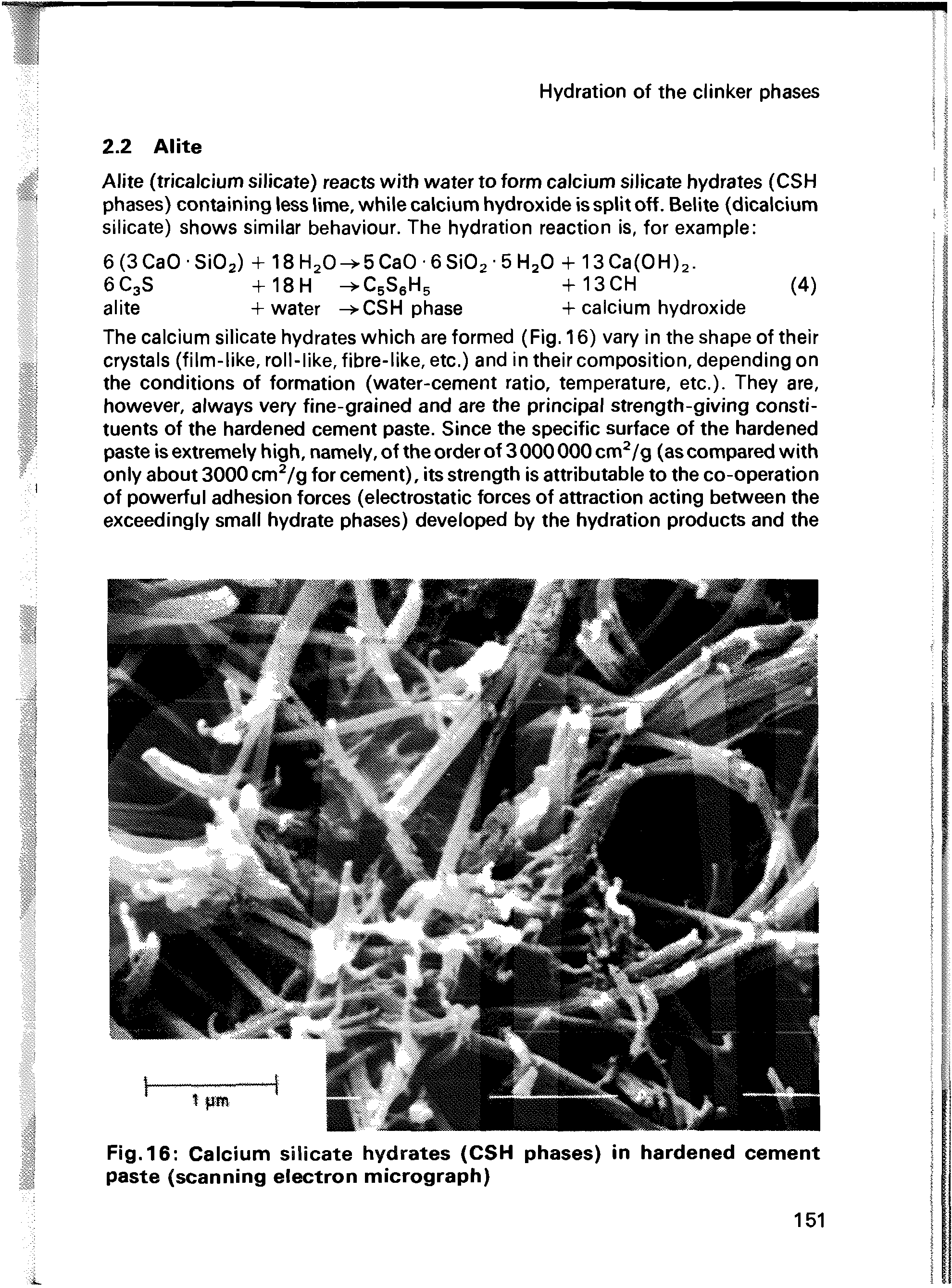 Fig. 16 Calcium silicate hydrates (CSH phases) in hardened cement paste (scanning electron micrograph)...