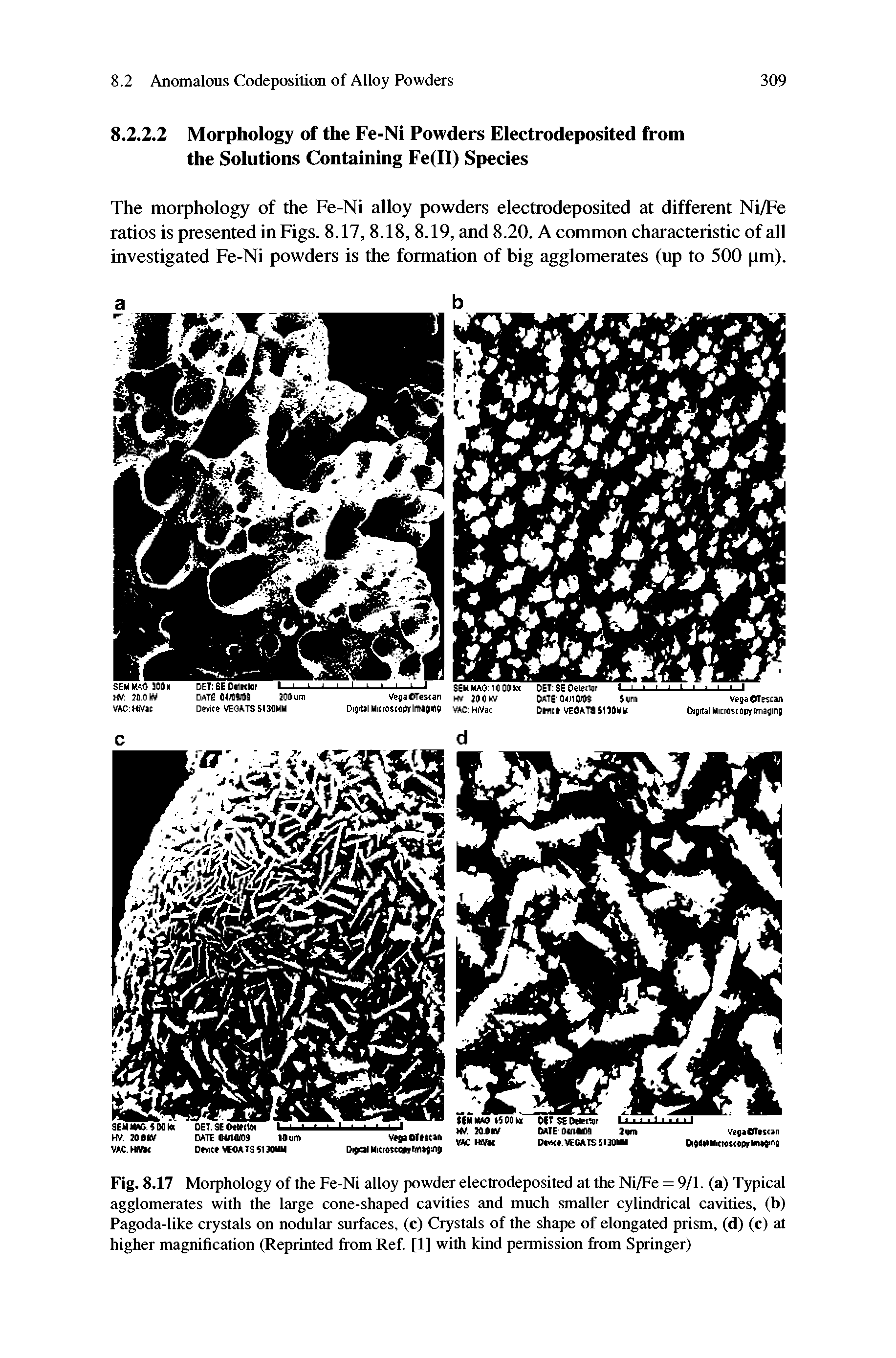 Fig. 8.17 Morphology of the Fe-Ni alloy powder electrodeposited at the Ni/Fe = 9/1. (a) Typical agglomerates with the large cone-shaped cavities and much smaller cylindrical cavities, (b) Pagoda-like crystals on nodular surfaces, (c) Crystals of the shape of elongated prism, (d) (c) at higher magnification (Reprinted from Ref. [1] with kind permission from Springer)...