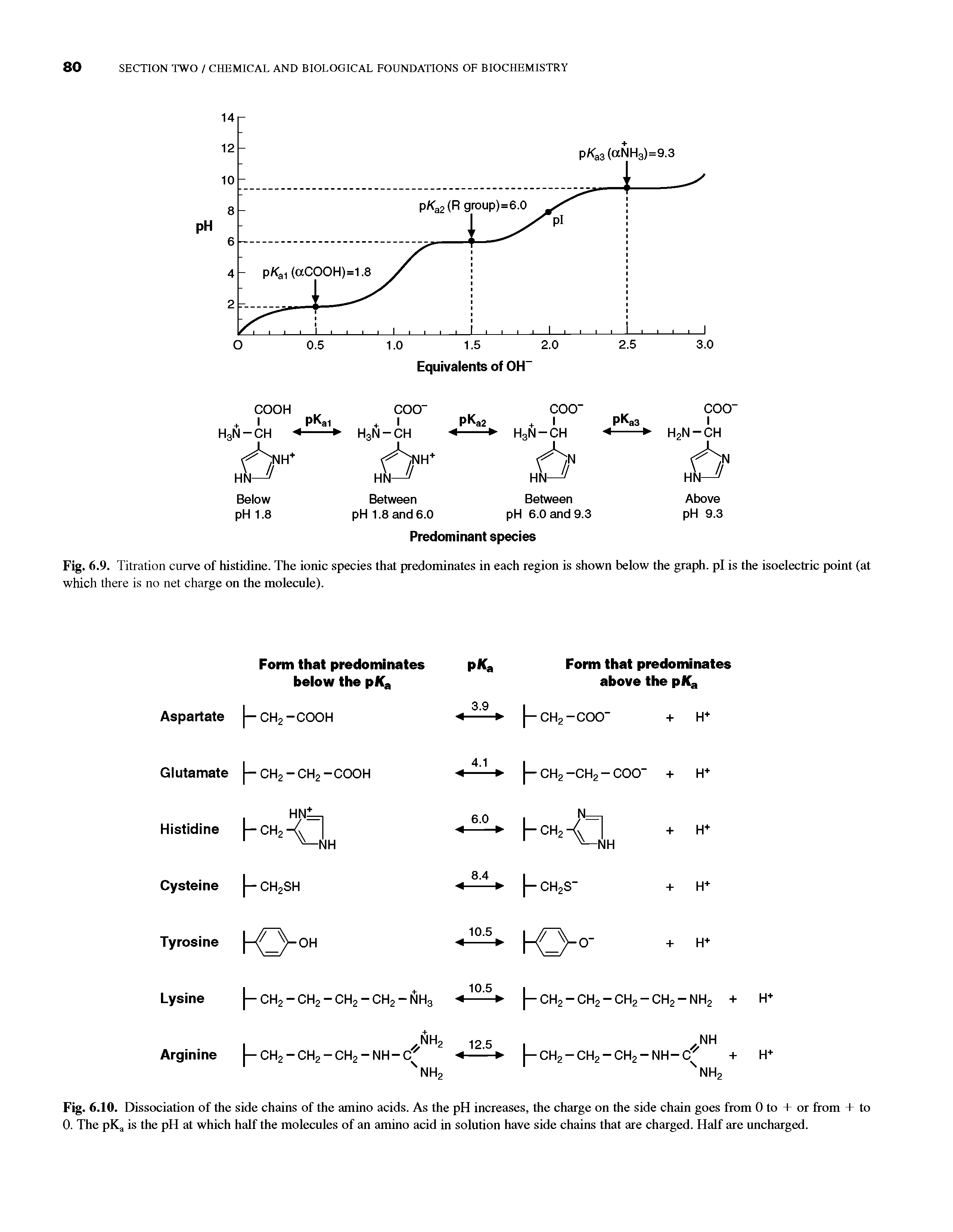 Fig. 6.9. Titration curve of histidine. The ionic species that predominates in each region is shown below the graph, pi is the isoelectric point (at which there is no net charge on the molecule).