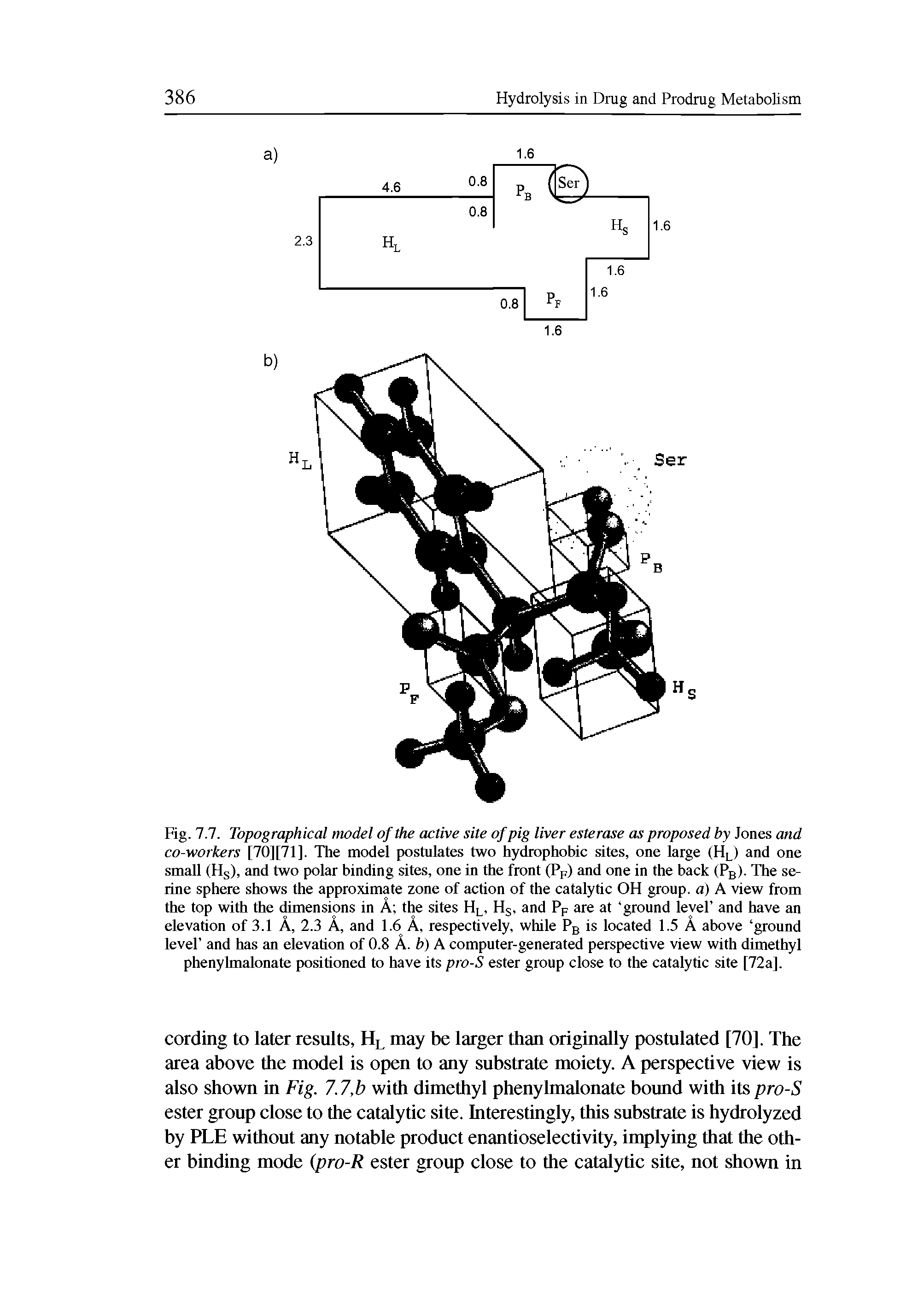 Fig. 7.7. Topographical model of the active site of pig liver esterase as proposed by Jones and co-workers [70] [71]. The model postulates two hydrophobic sites, one large (HL) and one small (Hs), and two polar binding sites, one in the front (PF) and one in the back (PB). The serine sphere shows the approximate zone of action of the catalytic OH group, a) A view from the top with the dimensions in A the sites HL, Hs, and PF are at ground level and have an elevation of 3.1 A, 2.3 A, and 1.6 A, respectively, while PB is located 1.5 A above ground level and has an elevation of 0.8 A. b) A computer-generated perspective view with dimethyl phenylmalonate positioned to have its pro-S ester group close to the catalytic site [72a].